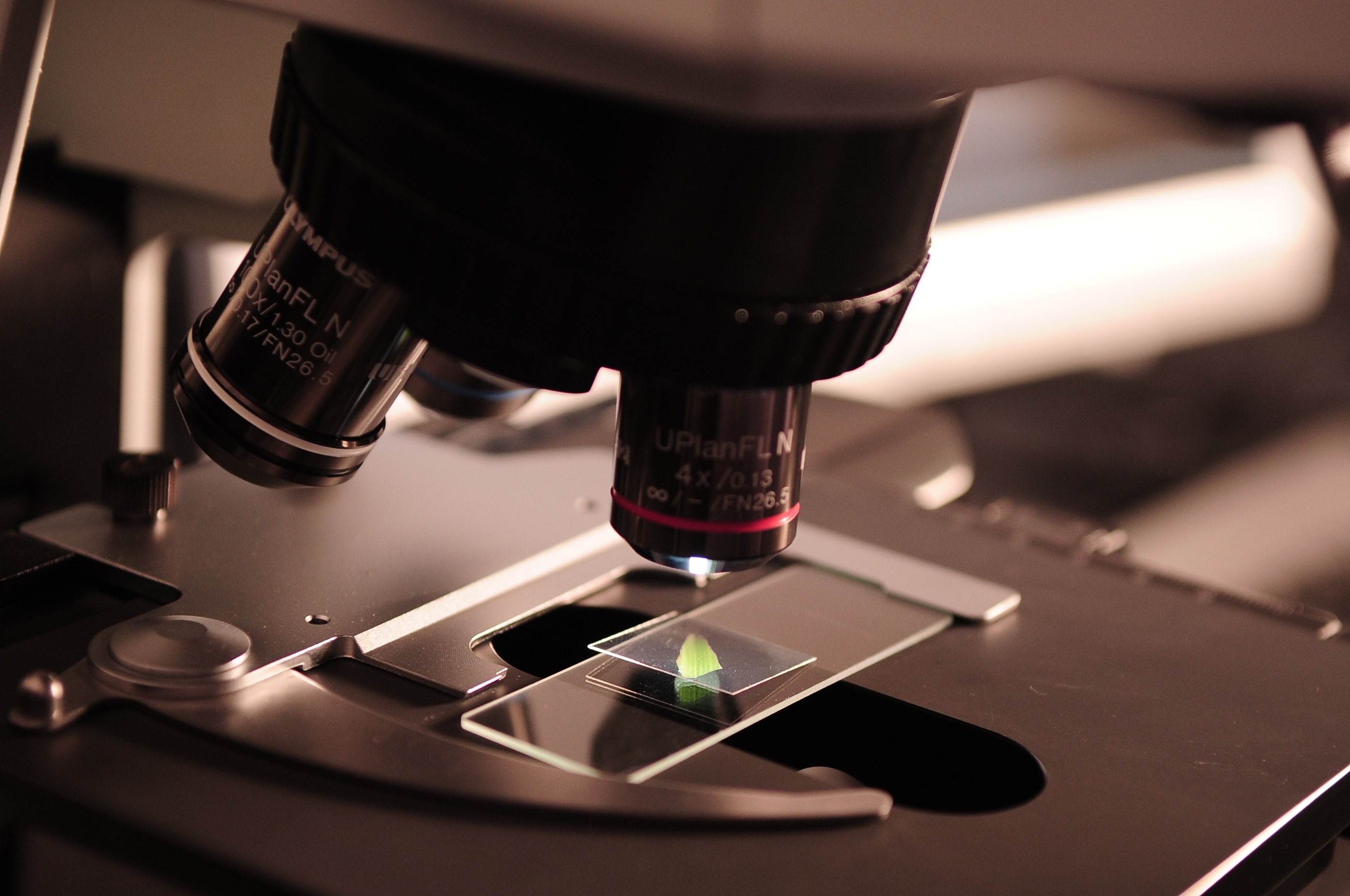 Microscope, Science Wallpaper, 2790x1850 HD Desktop