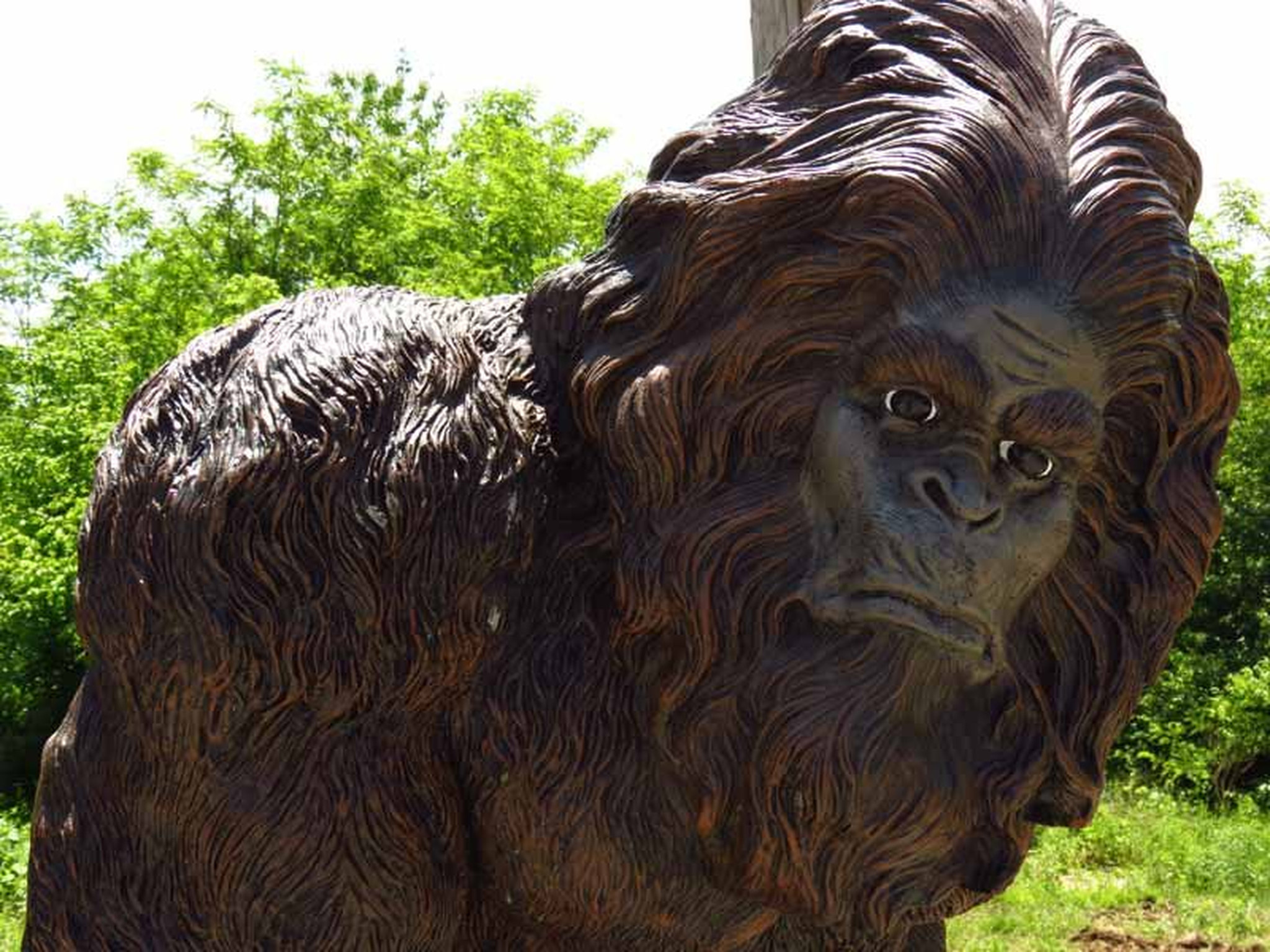 Expletive bigfoot, Alleged sasquatch sighting, Central illinois, Legendary creatures, 2050x1540 HD Desktop
