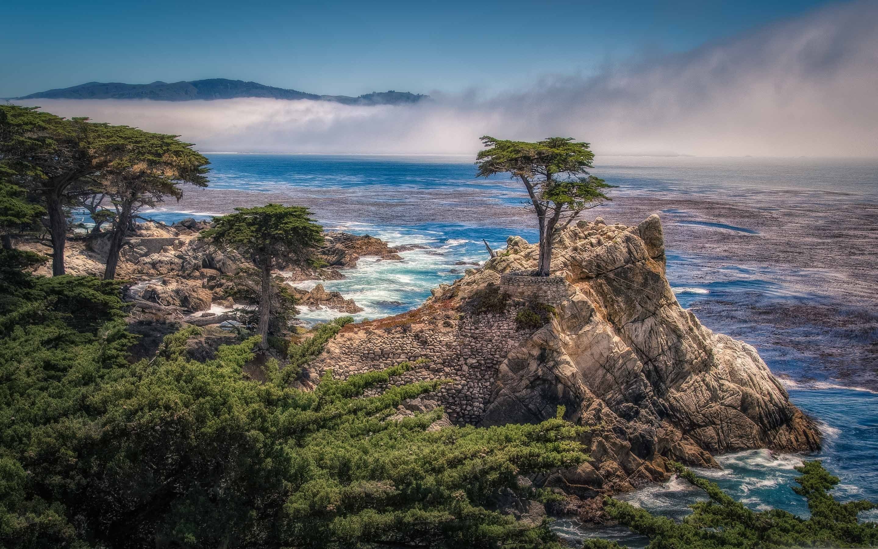Monterey, Cypress Tree Wallpaper, 2880x1800 HD Desktop