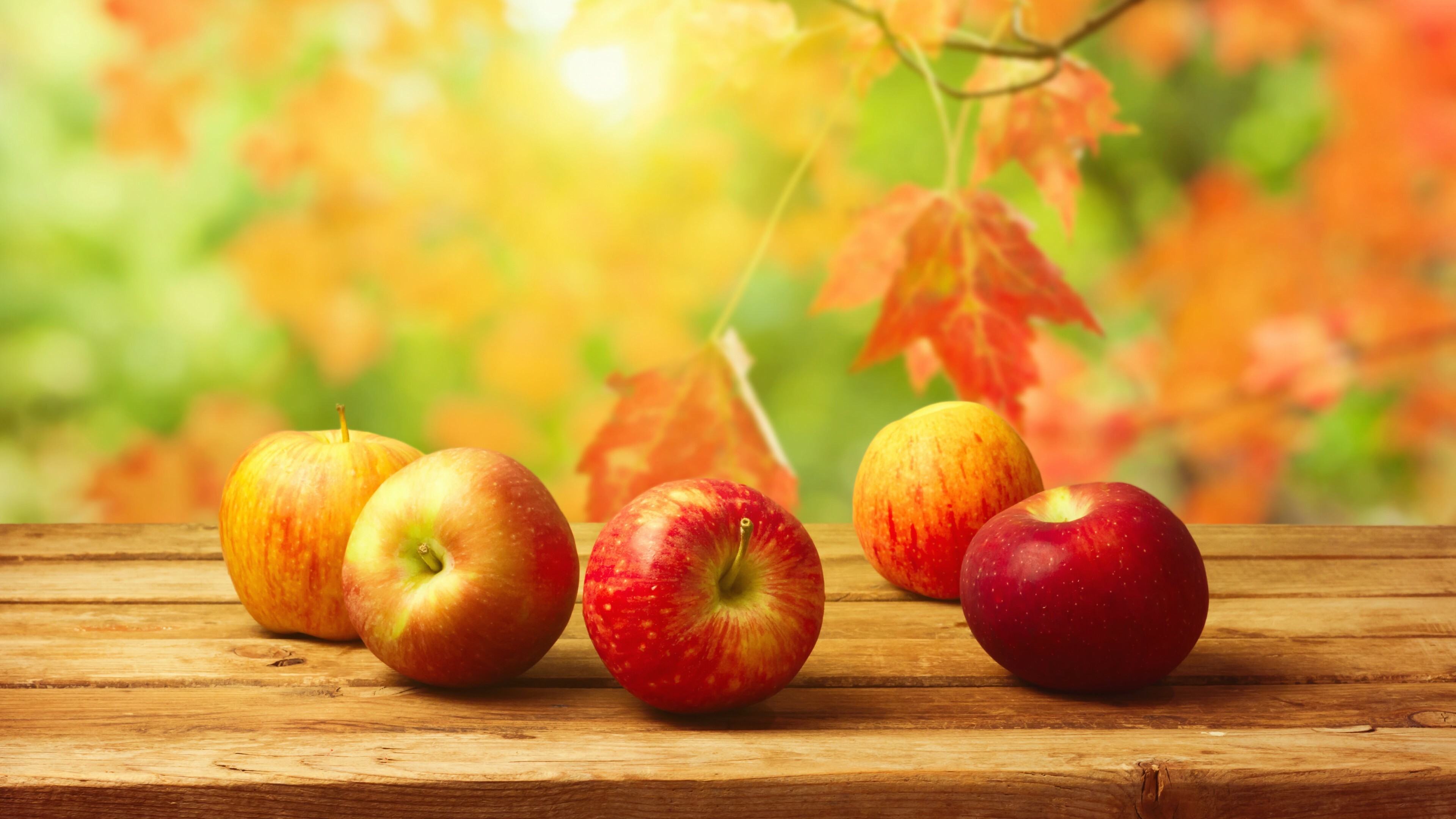 Autumn apple, Seasonal fruit, Nature's bounty, Crisp and juicy, 3840x2160 4K Desktop