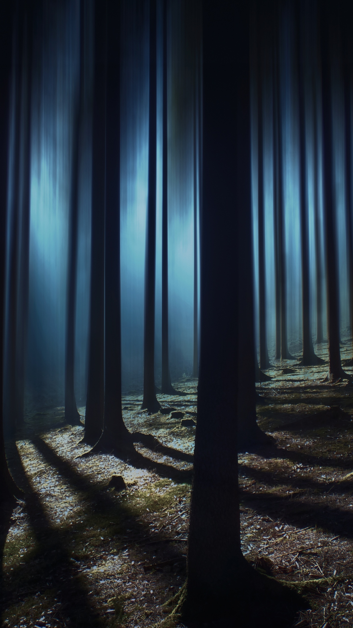silhouetted tree trunks, moonlit forest floor, blue misty woodland, HD Phone wallpaper