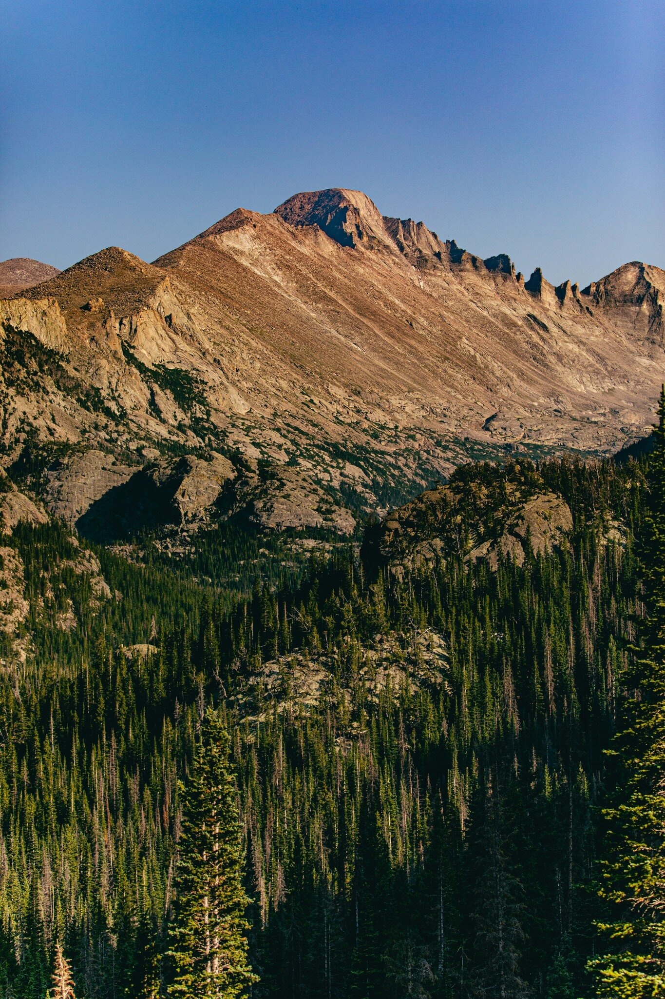 Hidden Valley wedding, Rocky Mountain Park, Idyllic scenery, Stunning photography, 1370x2050 HD Phone