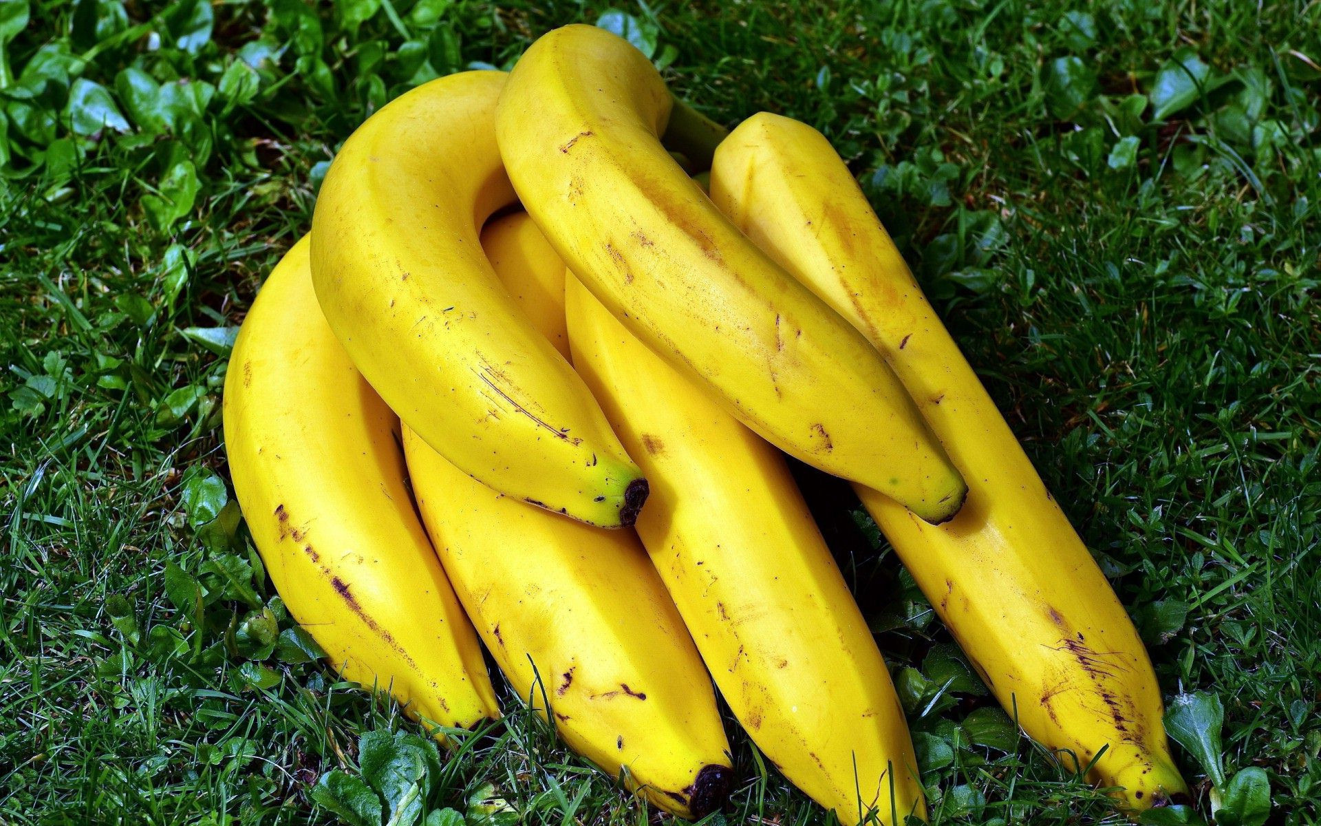 Banana magic, Tropical paradise, Yellow paradise, Nature's gift, 1920x1200 HD Desktop