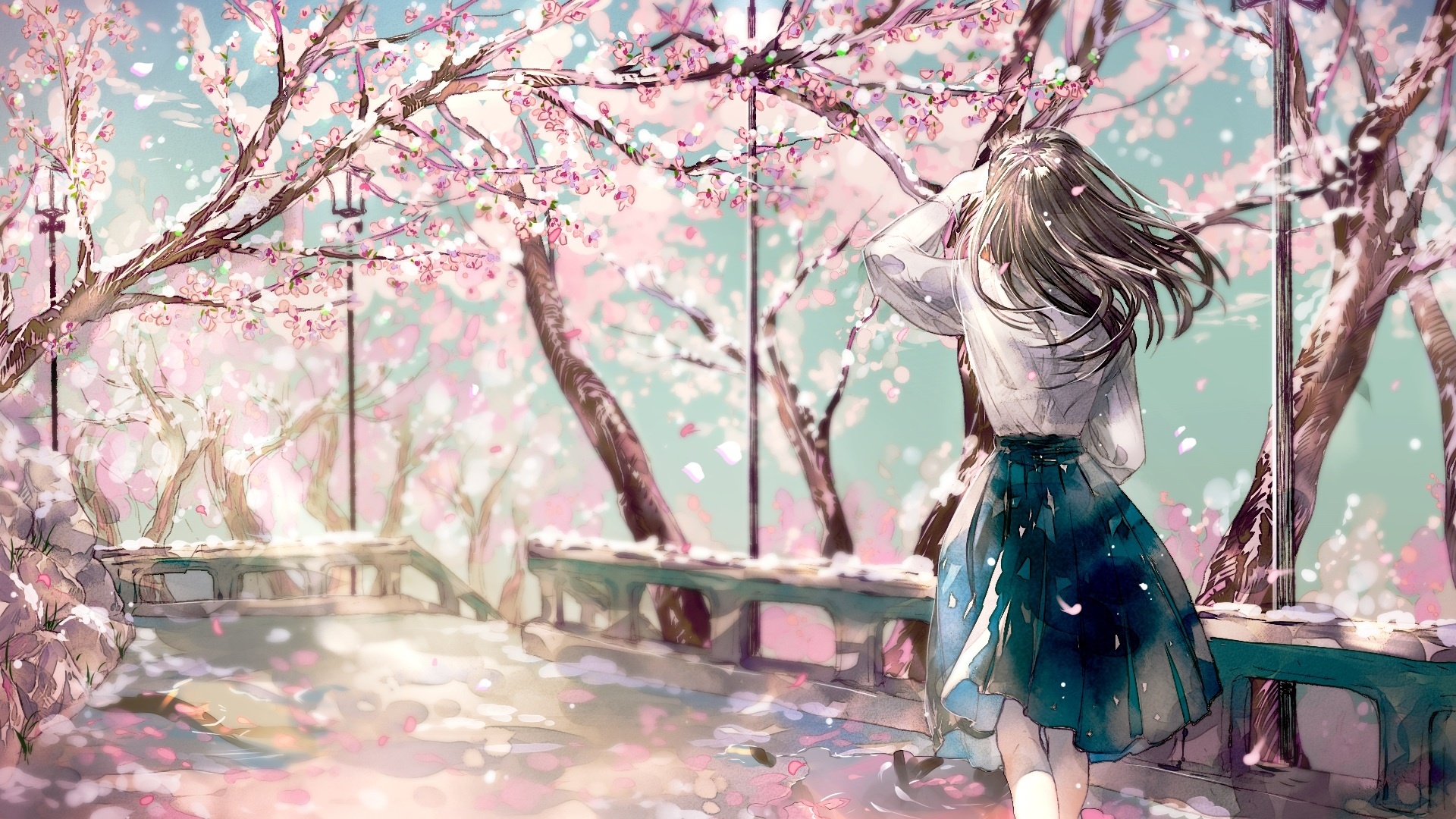 Anime girl from behind, Blooming cherry blossom trees, Falling pink sakura petals, Full HD Desktop wallpaper