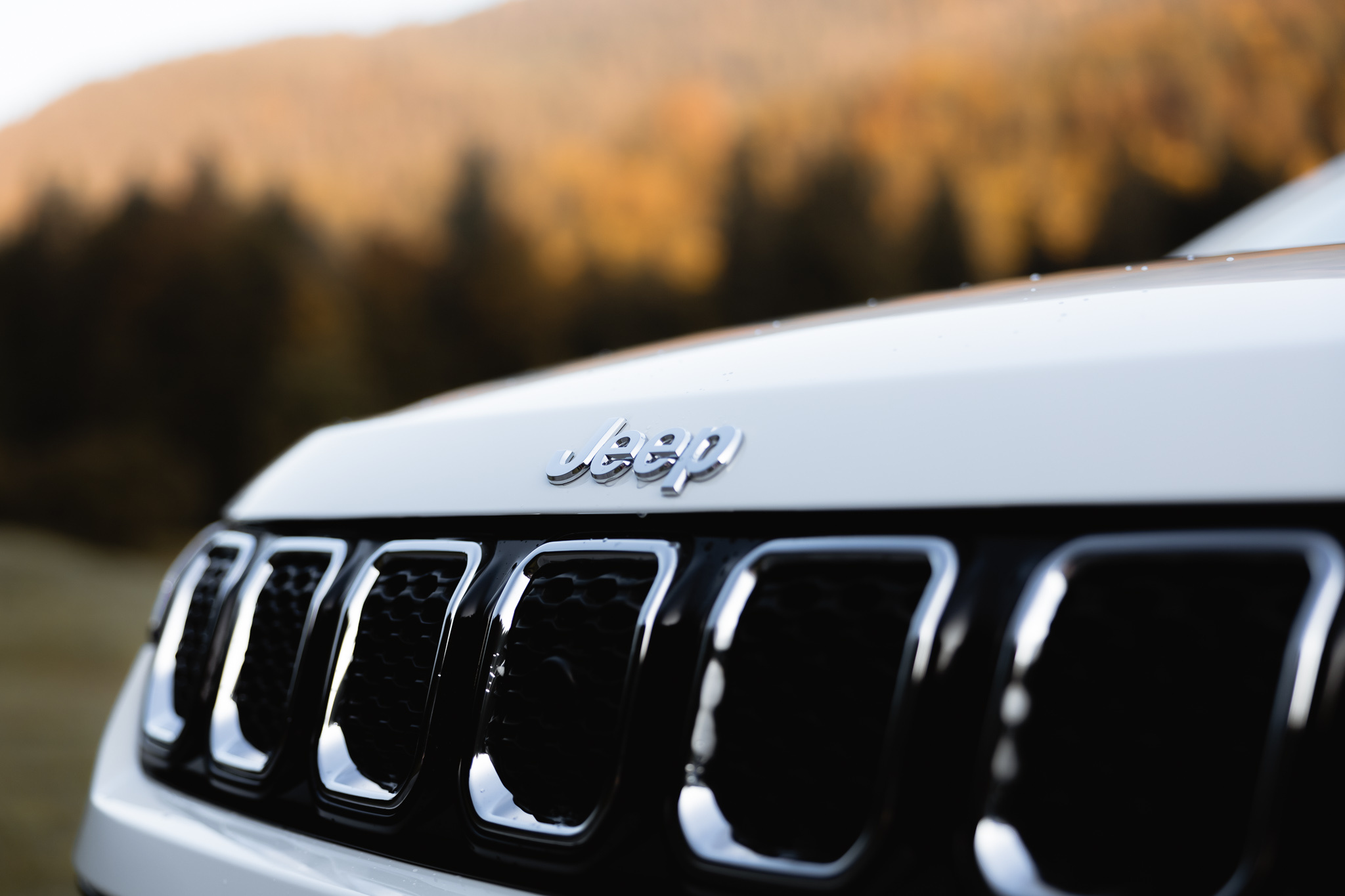 Radiator grille Close-Up, Jeep Compass Wallpaper, 2050x1370 HD Desktop