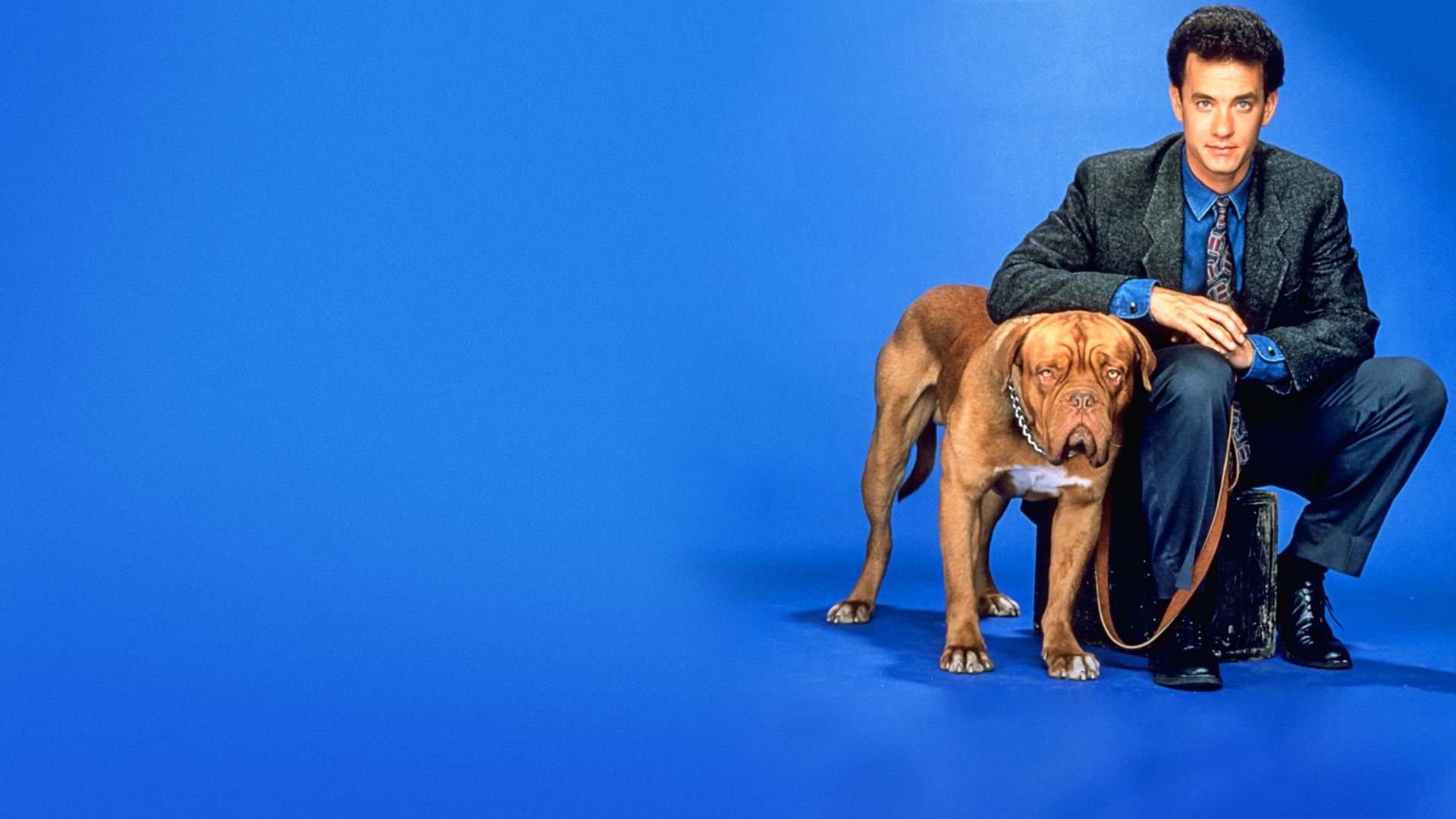Turner and Hooch (Movies), 1989 movie, HD wallpapers, Tom Hanks, 1920x1080 Full HD Desktop