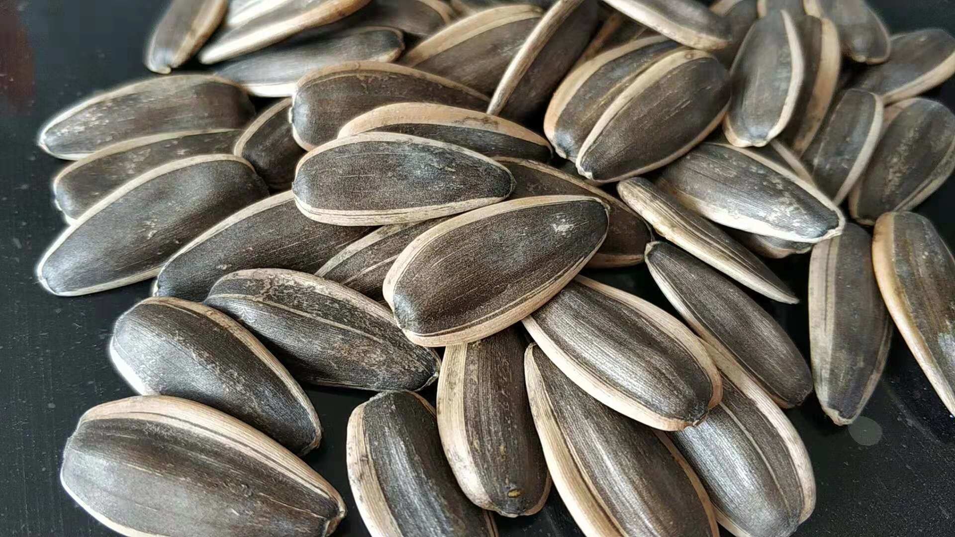 Giant sunflower seeds, Nutrient-rich snack, Wholesome goodness, Edible sunflower, 1920x1080 Full HD Desktop