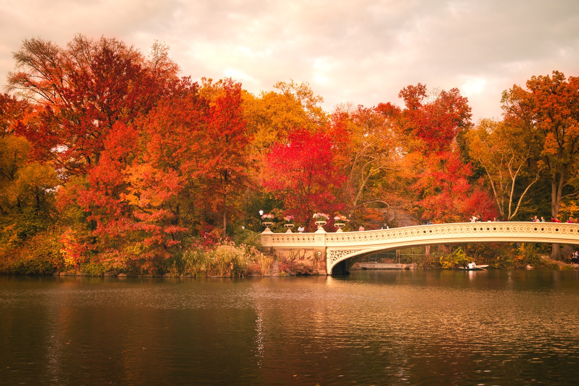 Central Park, Bridge in autumn, HD wallpaper, 2250x1500 HD Desktop