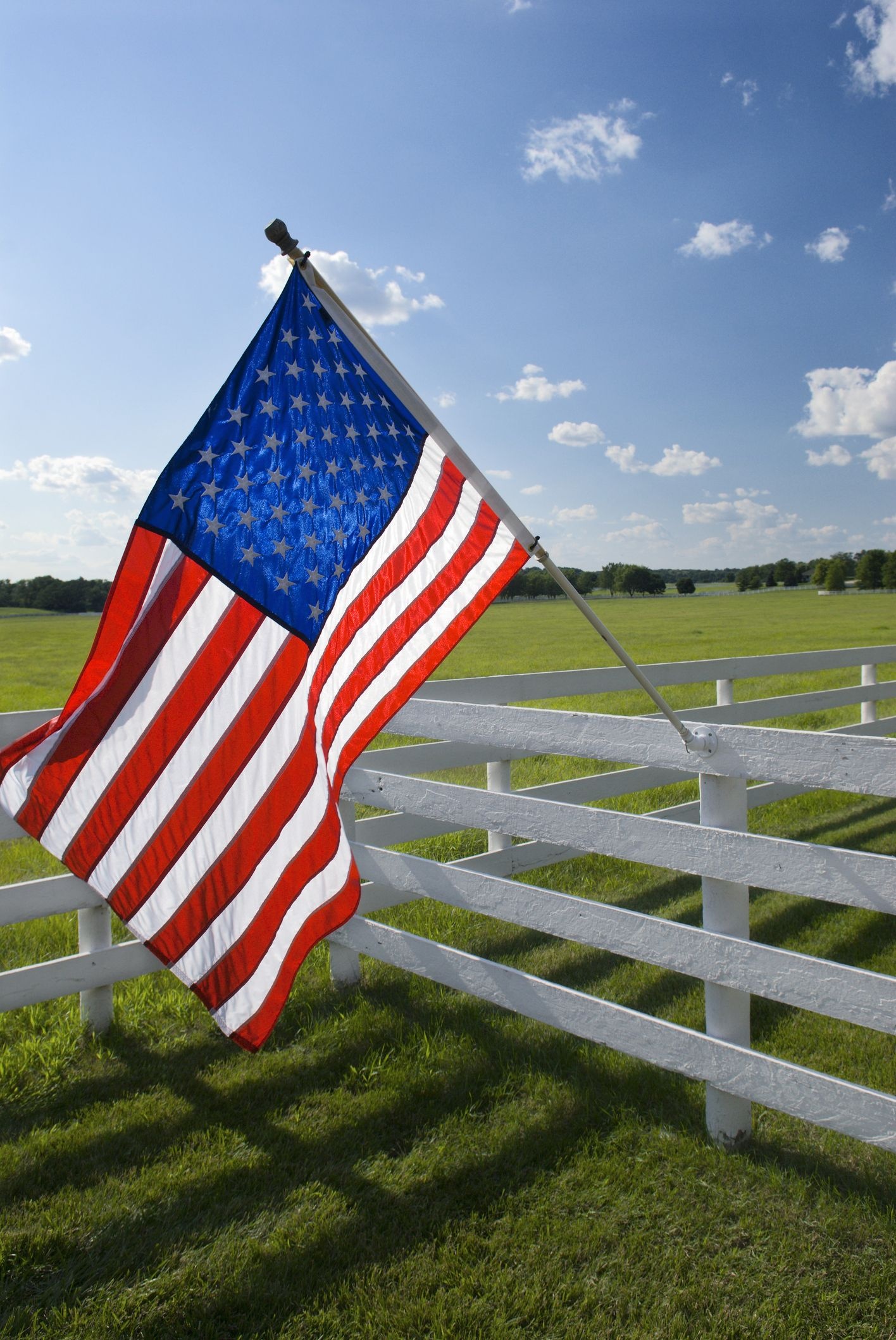 American Flag, Flag facts, History of the flag, United States, National symbol, 1420x2120 HD Phone