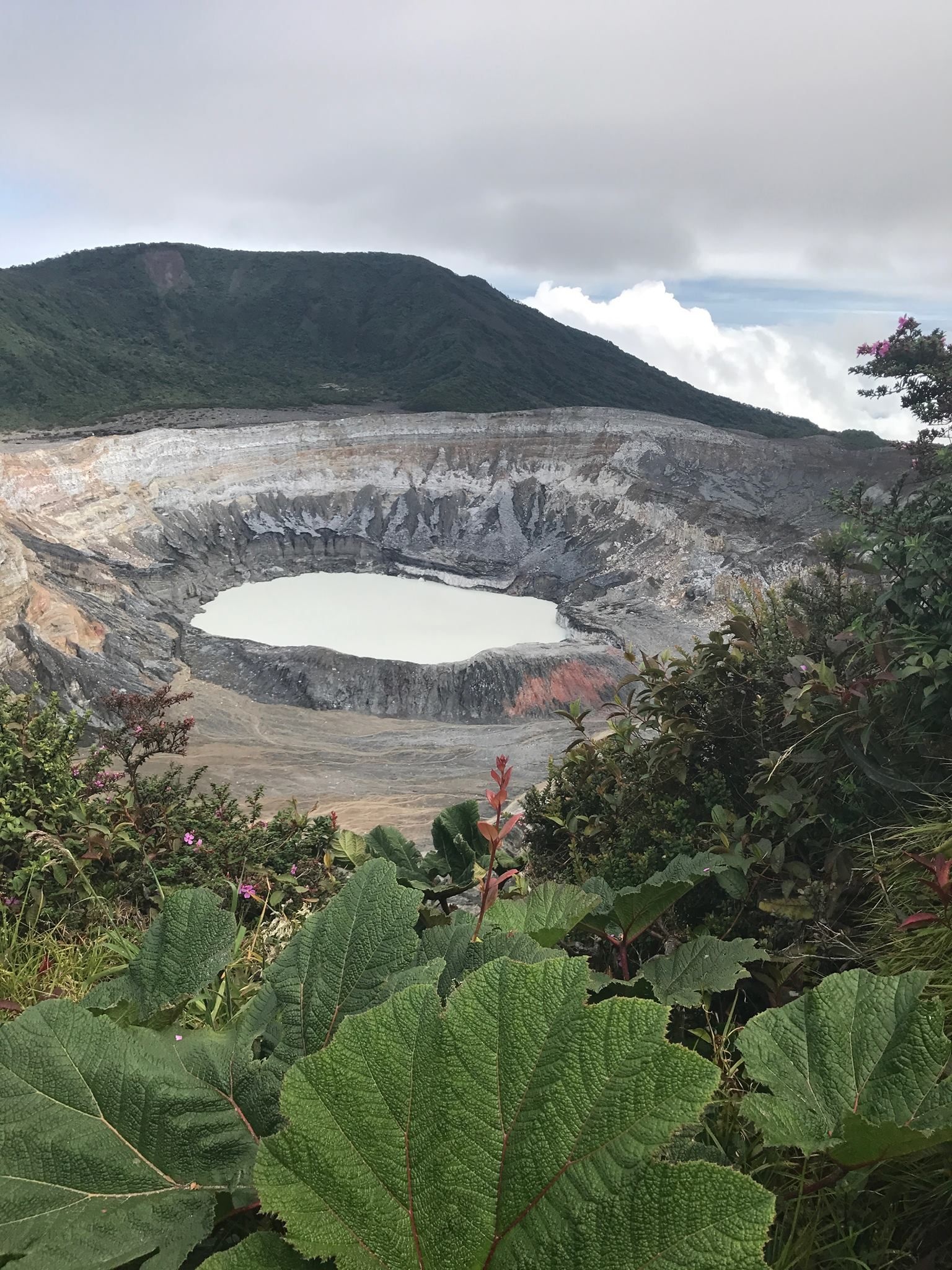 Poas National Park, Parque Nacional Volcan Pos, Costa Rica, 1540x2050 HD Phone