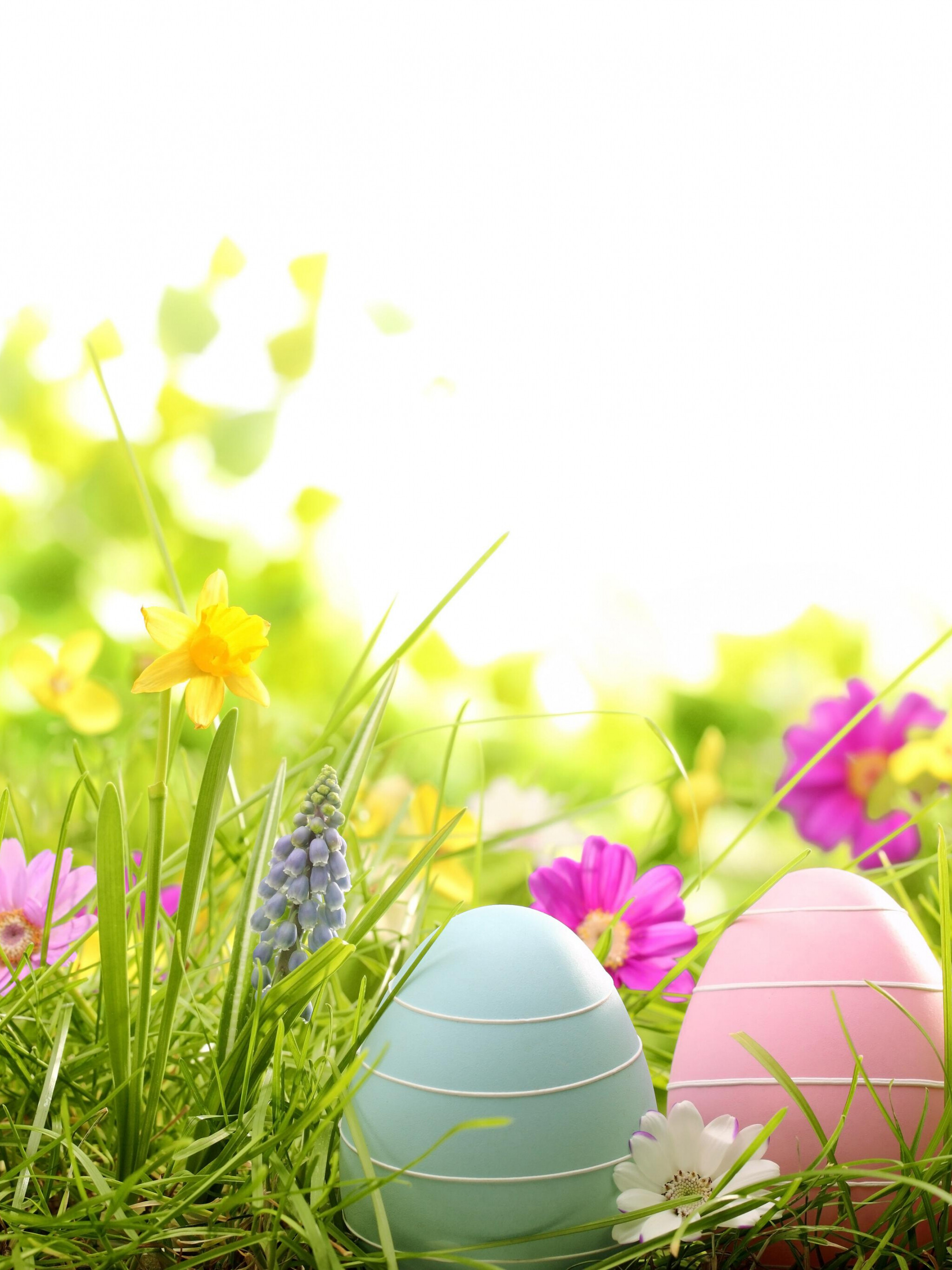 Eggs basket Easter, Samsung Galaxy S8 wallpaper, Spring celebration, Festive design, 2050x2740 HD Phone