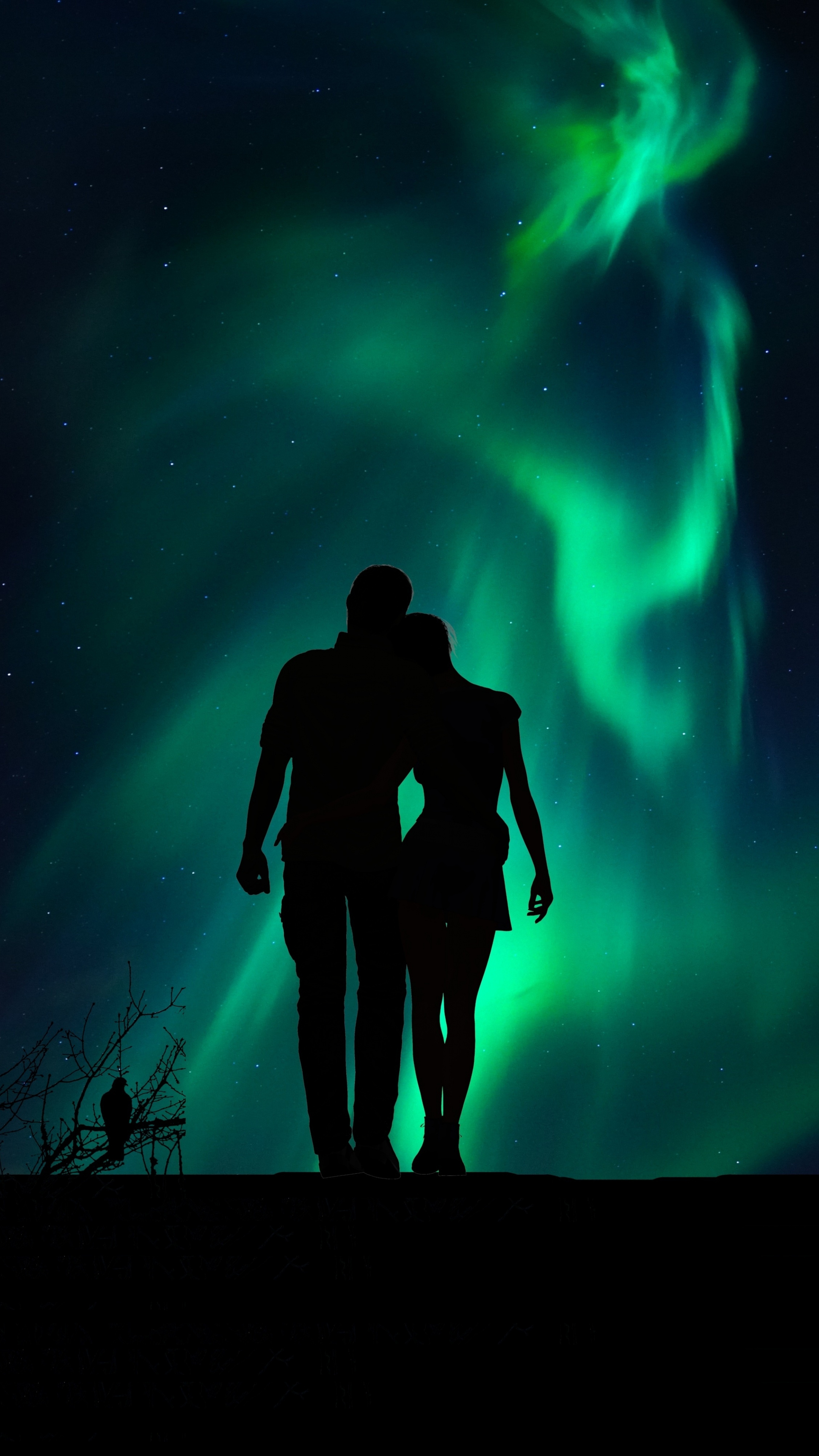 Aurora couple silhouette, Love wallpaper, Sony Xperia Z5 Premium, 2160x3840 4K Phone