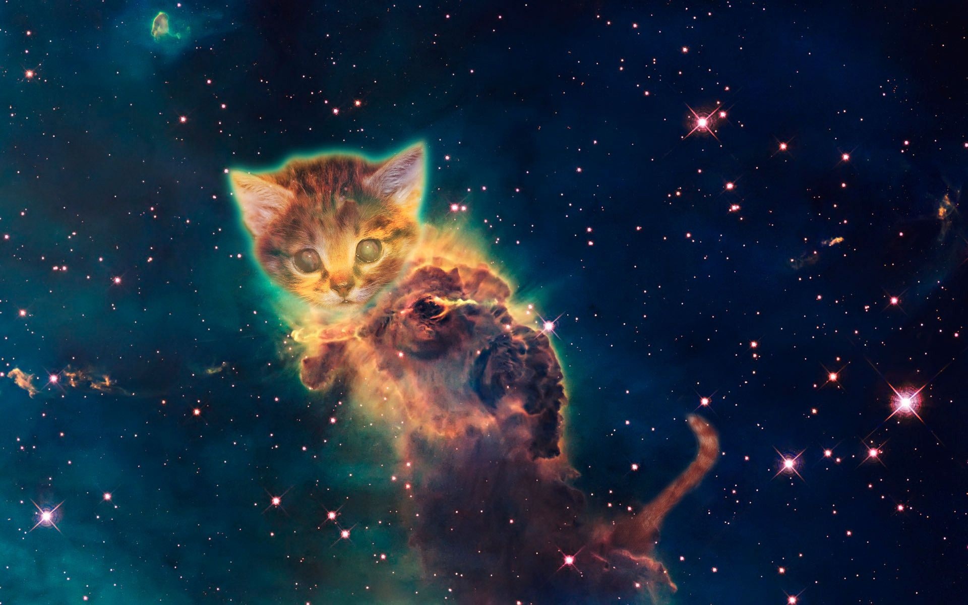 Kitten, Galaxy Cat Wallpaper, 1920x1200 HD Desktop