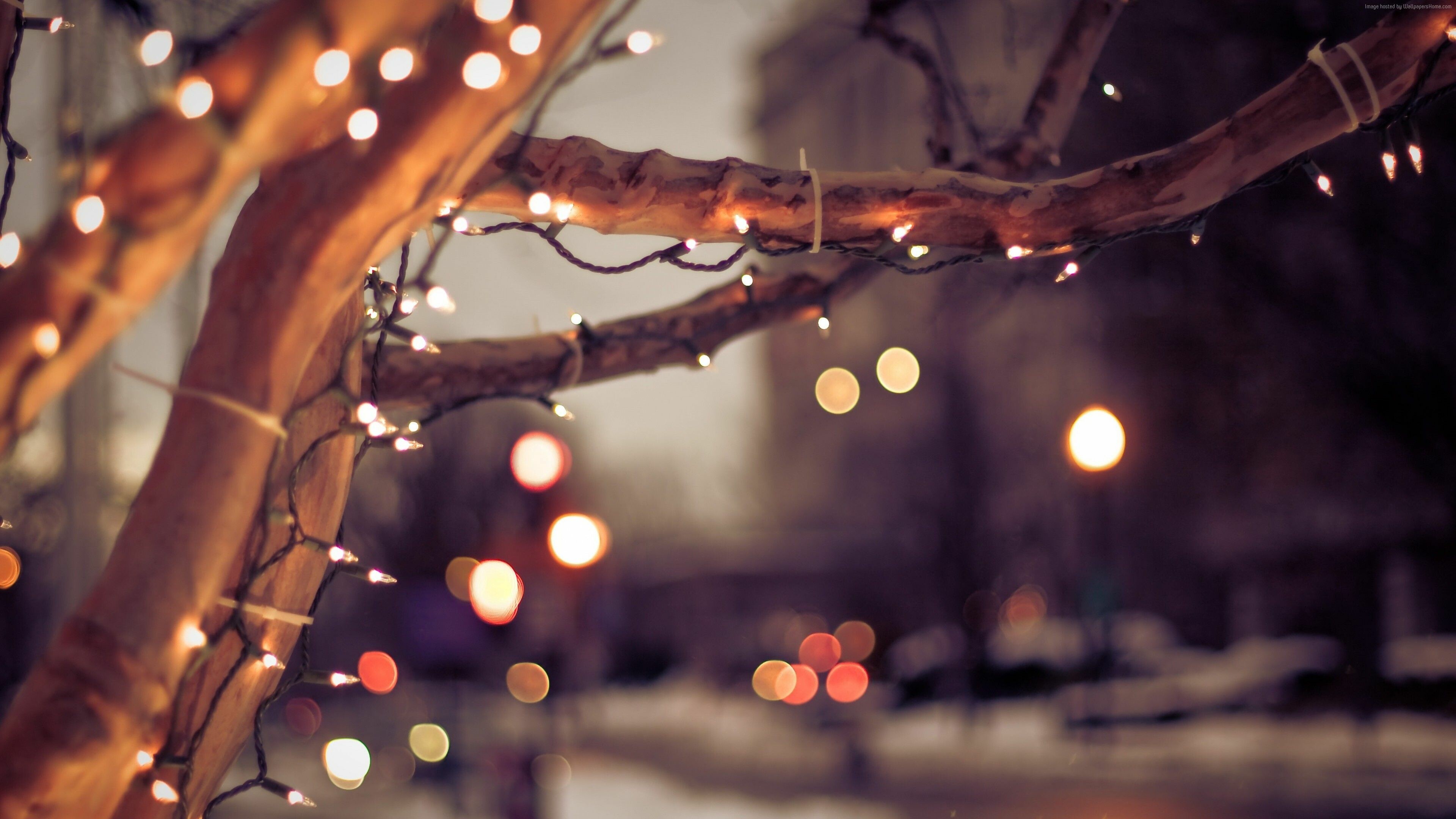 Tree lights wallpapers, Stunning displays, Breathtaking illuminations, Festive ambiance, 3840x2160 4K Desktop