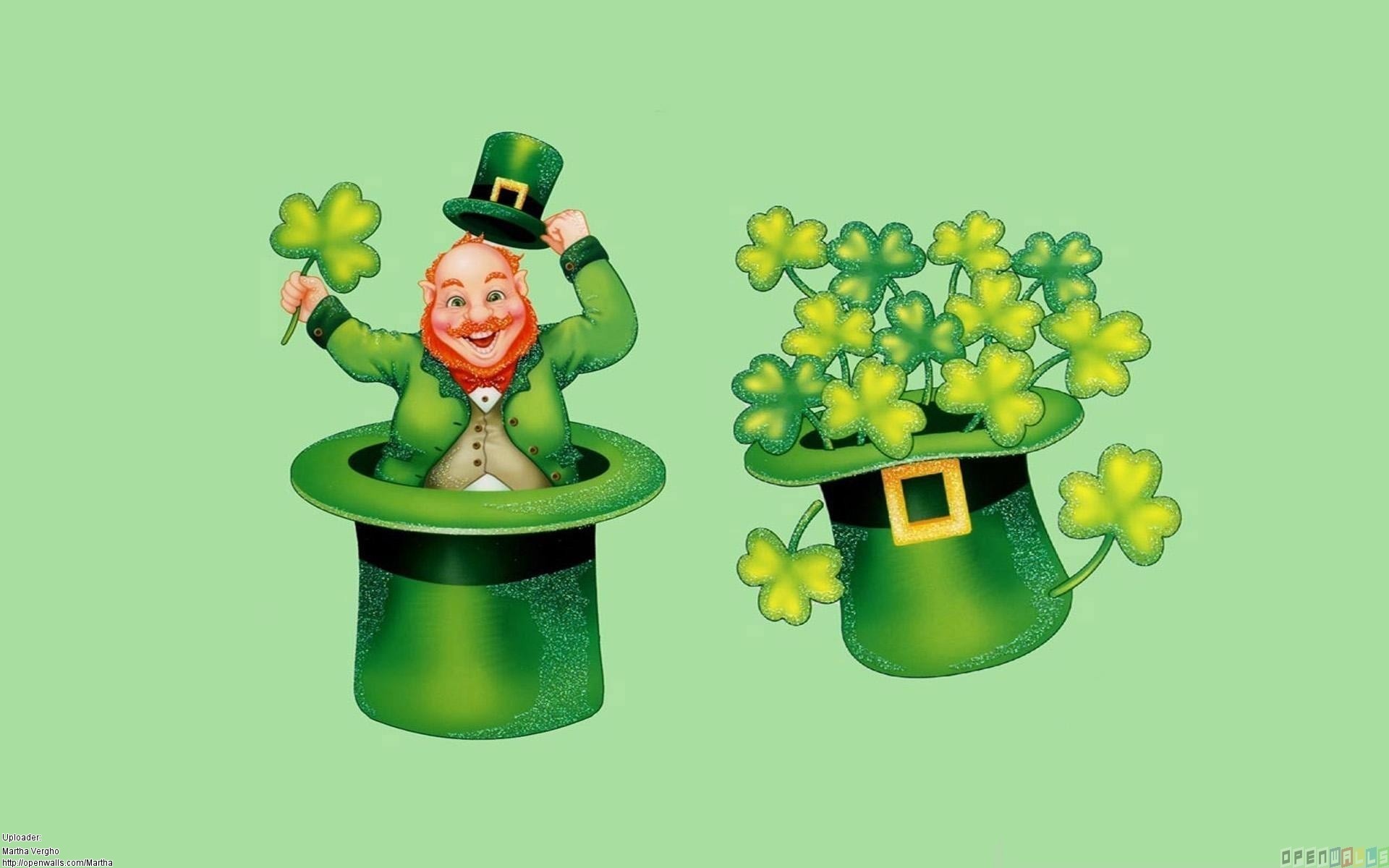 Irish fairy wallpaper, St. Patrick's Day, Leprechaun magic, Cat wallpaper, 1920x1200 HD Desktop