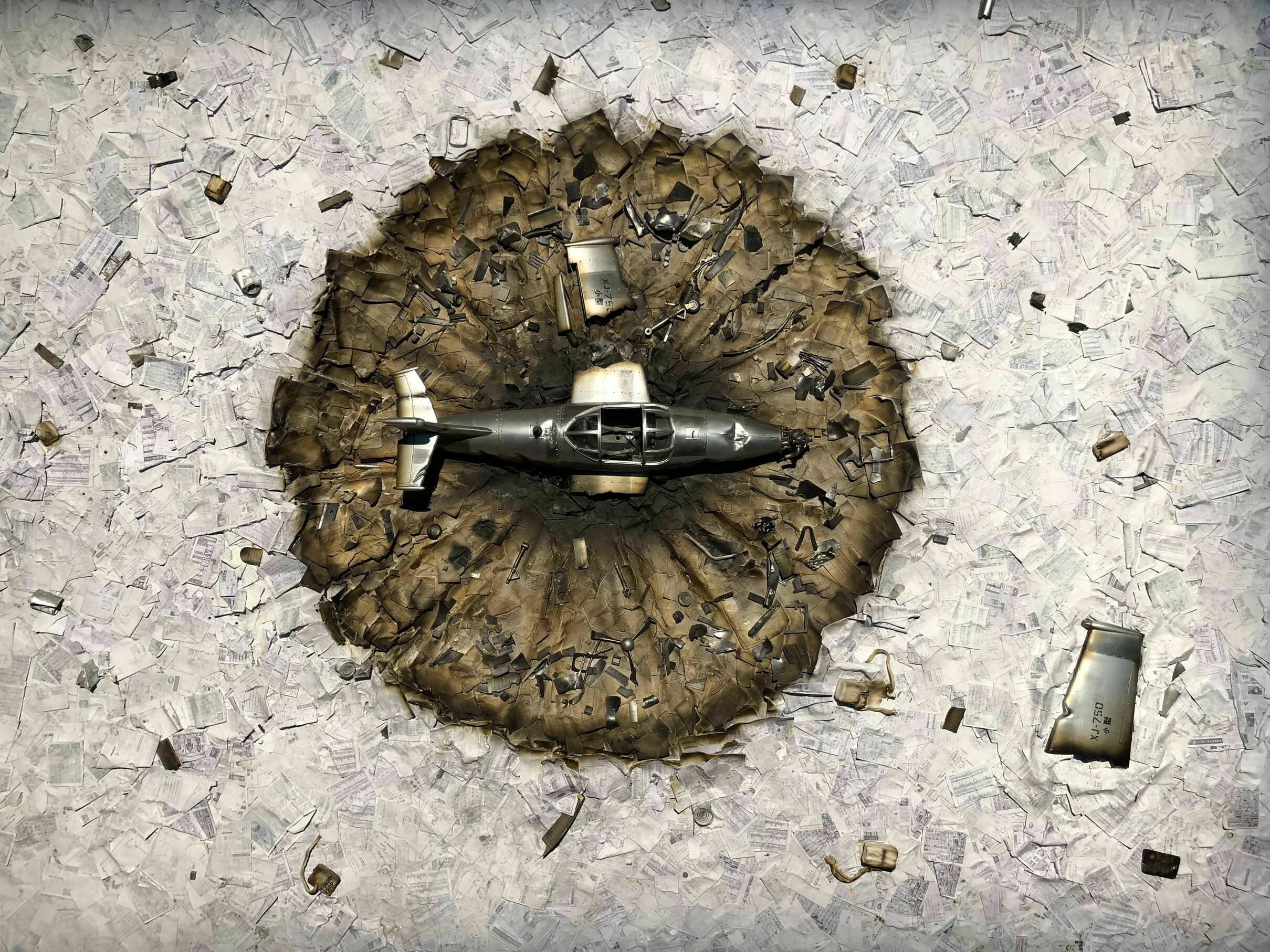 Isle of Dogs, Plane wreckage, Mysterious island, Wes Anderson, 2420x1820 HD Desktop