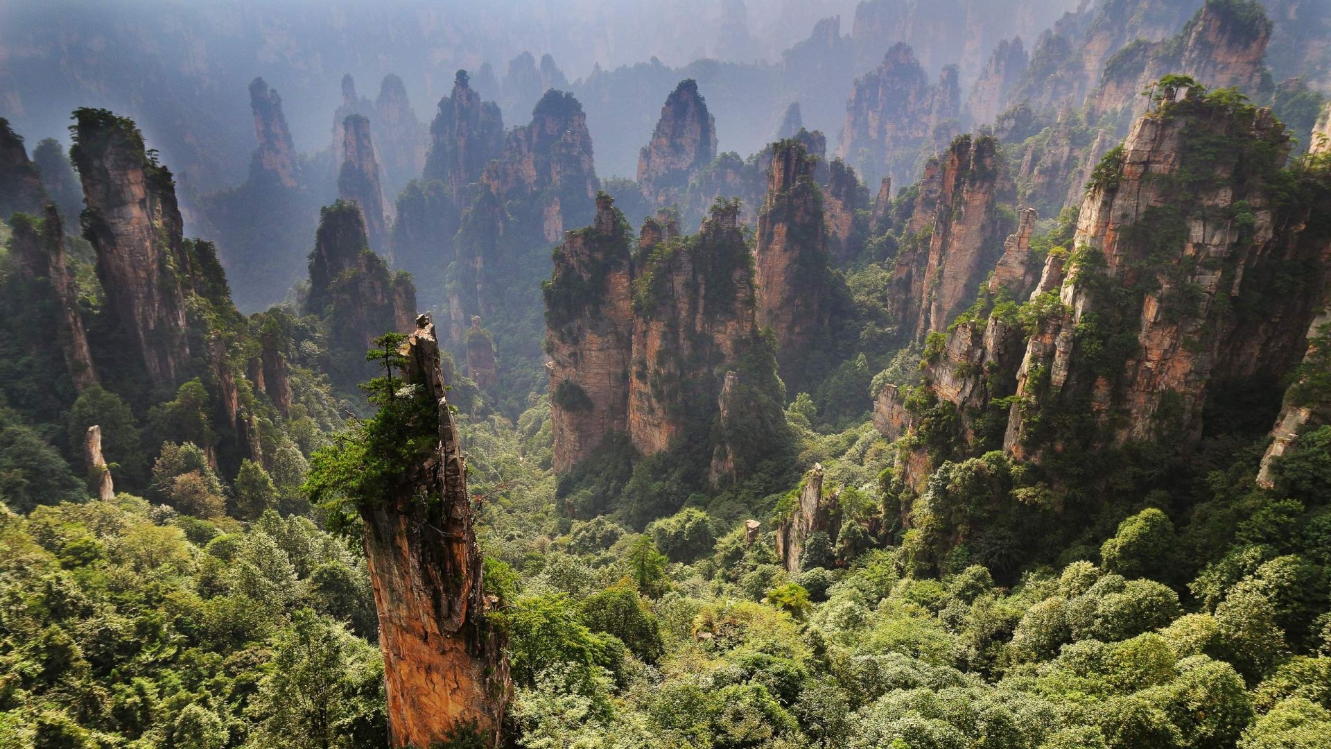 Zhangjiajie National Forest Park, Desktop wallpaper, HD image, Picture background, 1920x1080 Full HD Desktop