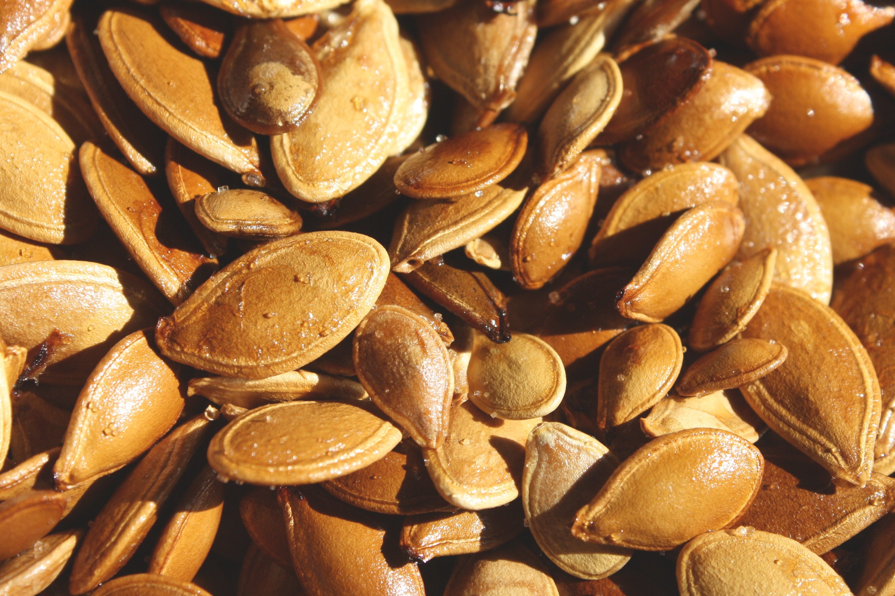 Toasted pumpkin seeds, Texture, Photography, Public domain, 3000x2000 HD Desktop