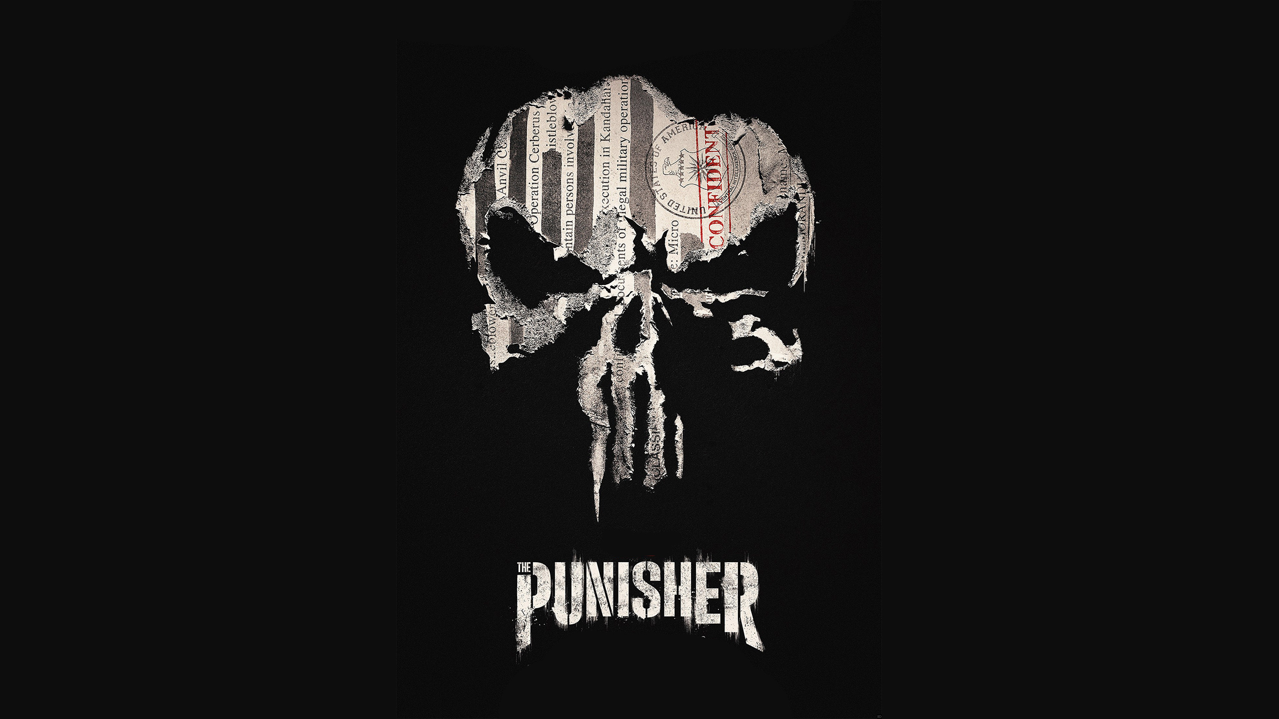 Logo, Punisher Wallpaper, HD Desktop