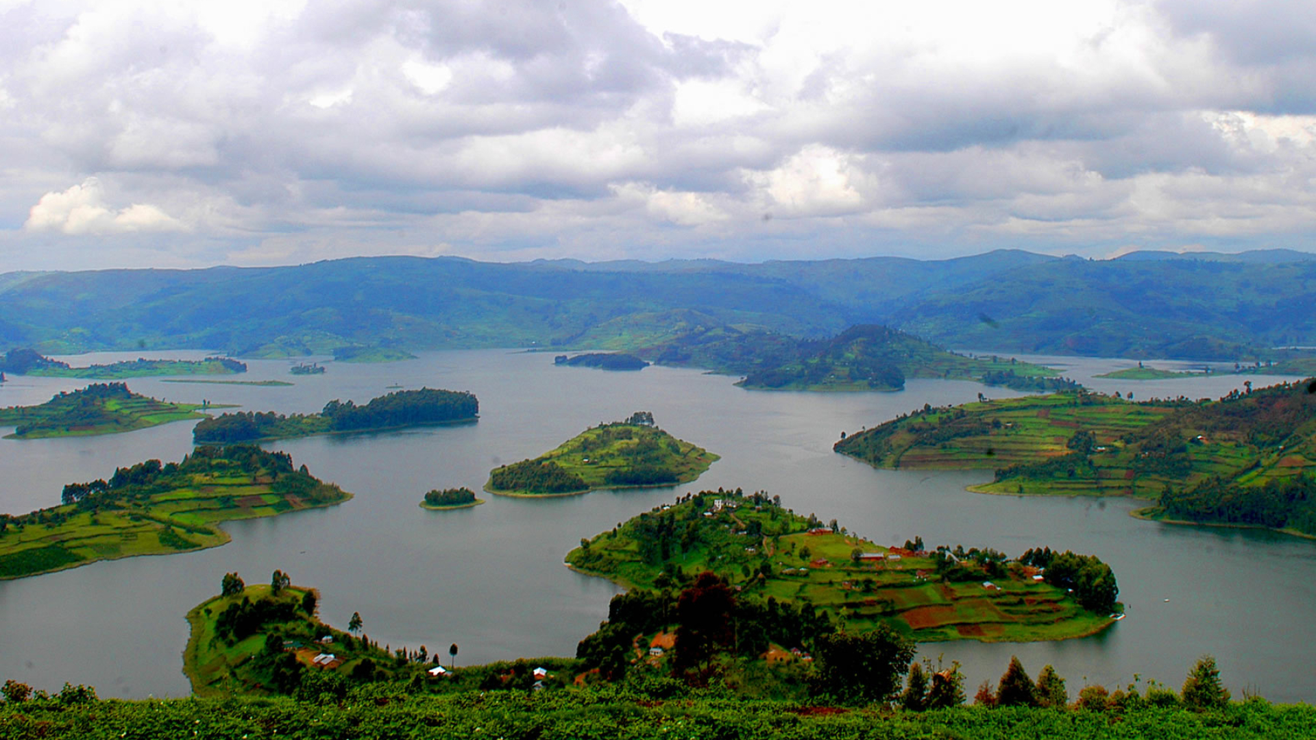 Uganda travels, Spectacular primates, Wildlife safari, Group and family tours, 1920x1080 Full HD Desktop