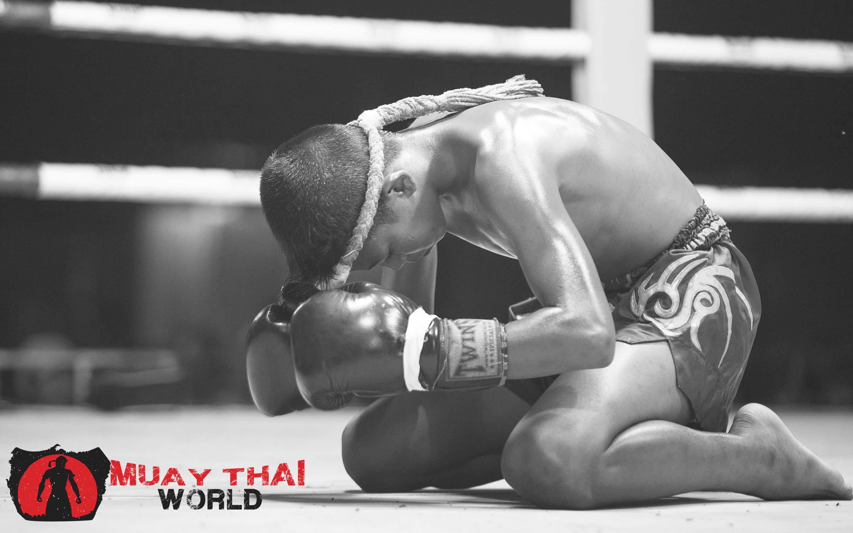 Muay Thai wallpapers, 2016 edition, Dynamic poses, Powerful strikes, 2880x1800 HD Desktop