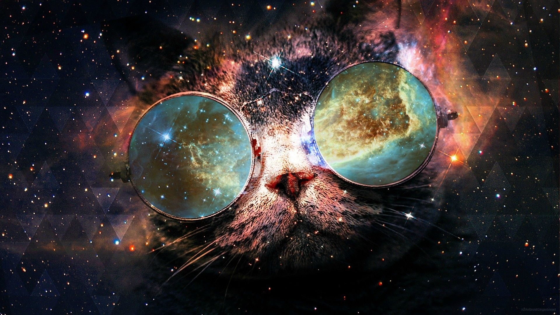Galaxy Cat, Playful feline, Cosmic background, Astronomical wonder, 1920x1080 Full HD Desktop