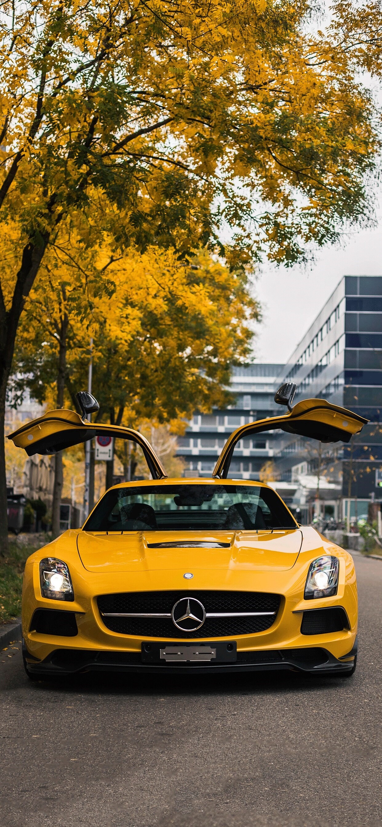 Mercedes-Benz, iPhone wallpaper art, HD download, Mercedes artistry, 1250x2690 HD Phone