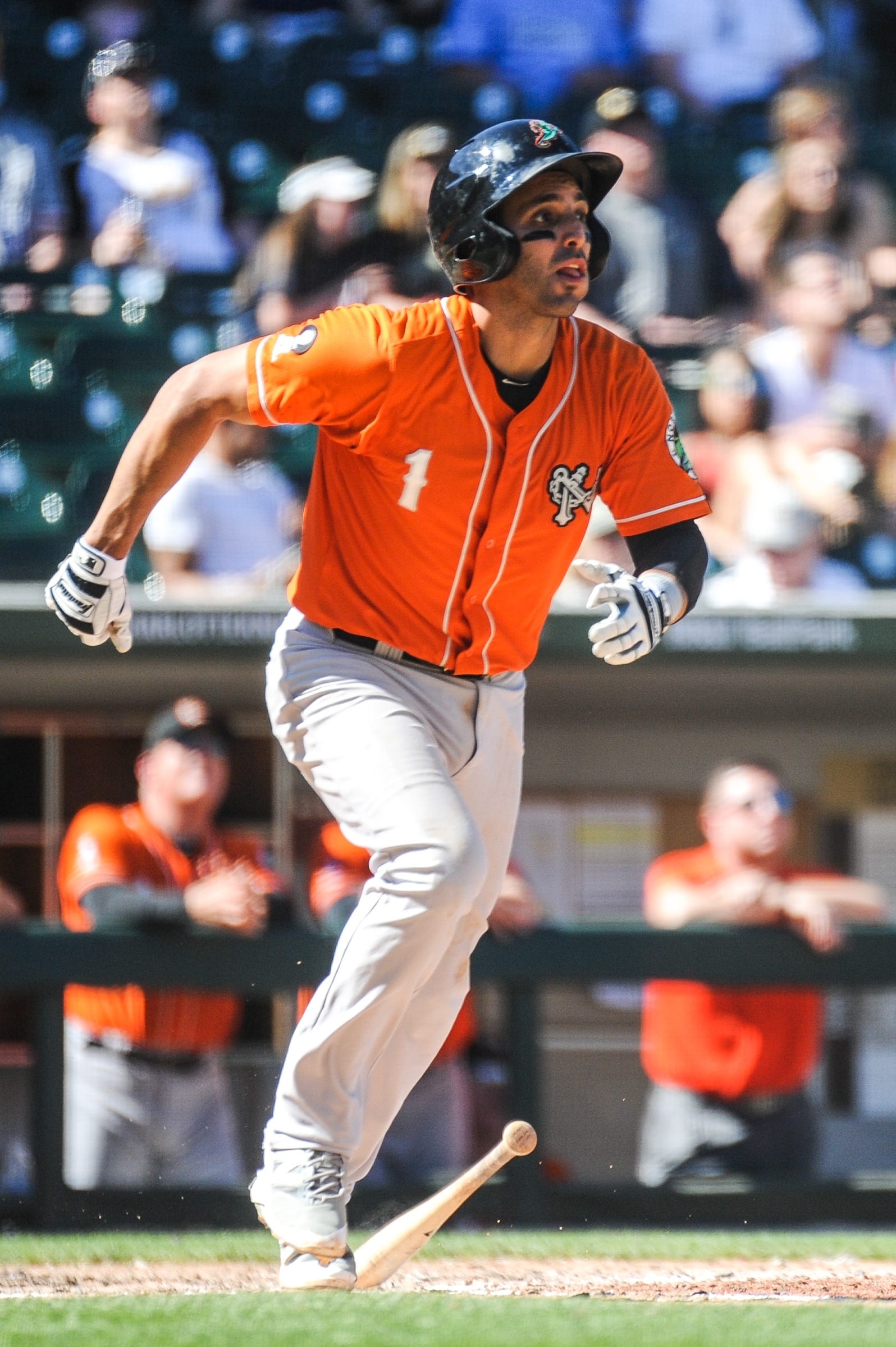 Norfolk Tides, Belmont abbey baseball star, BB&T ballpark, Minor league experience, 1600x2400 HD Phone