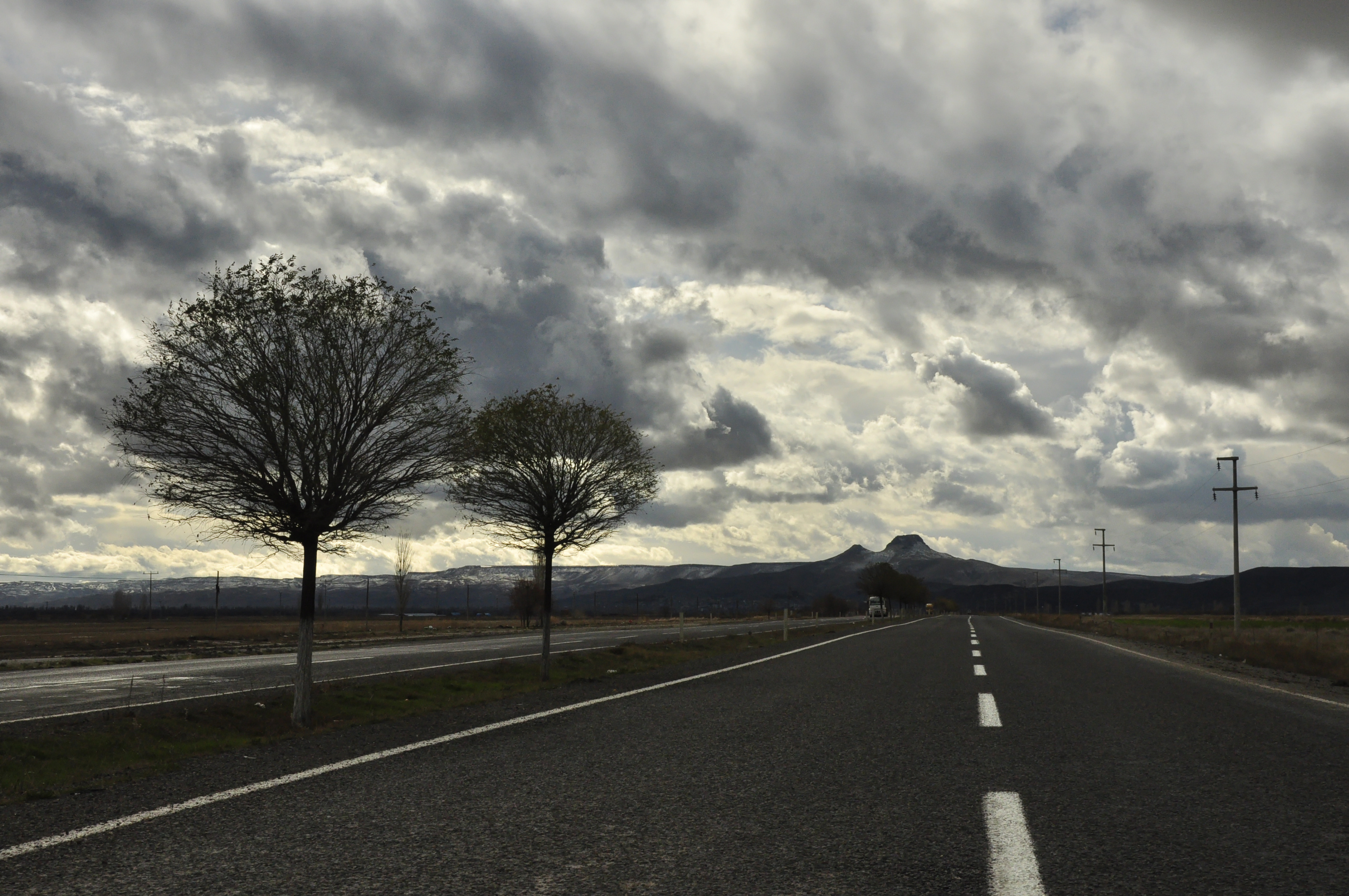 Gray Cloudy Sky, Bleak winter scene, Loneliness, Bare trees standing tall, 3220x2140 HD Desktop