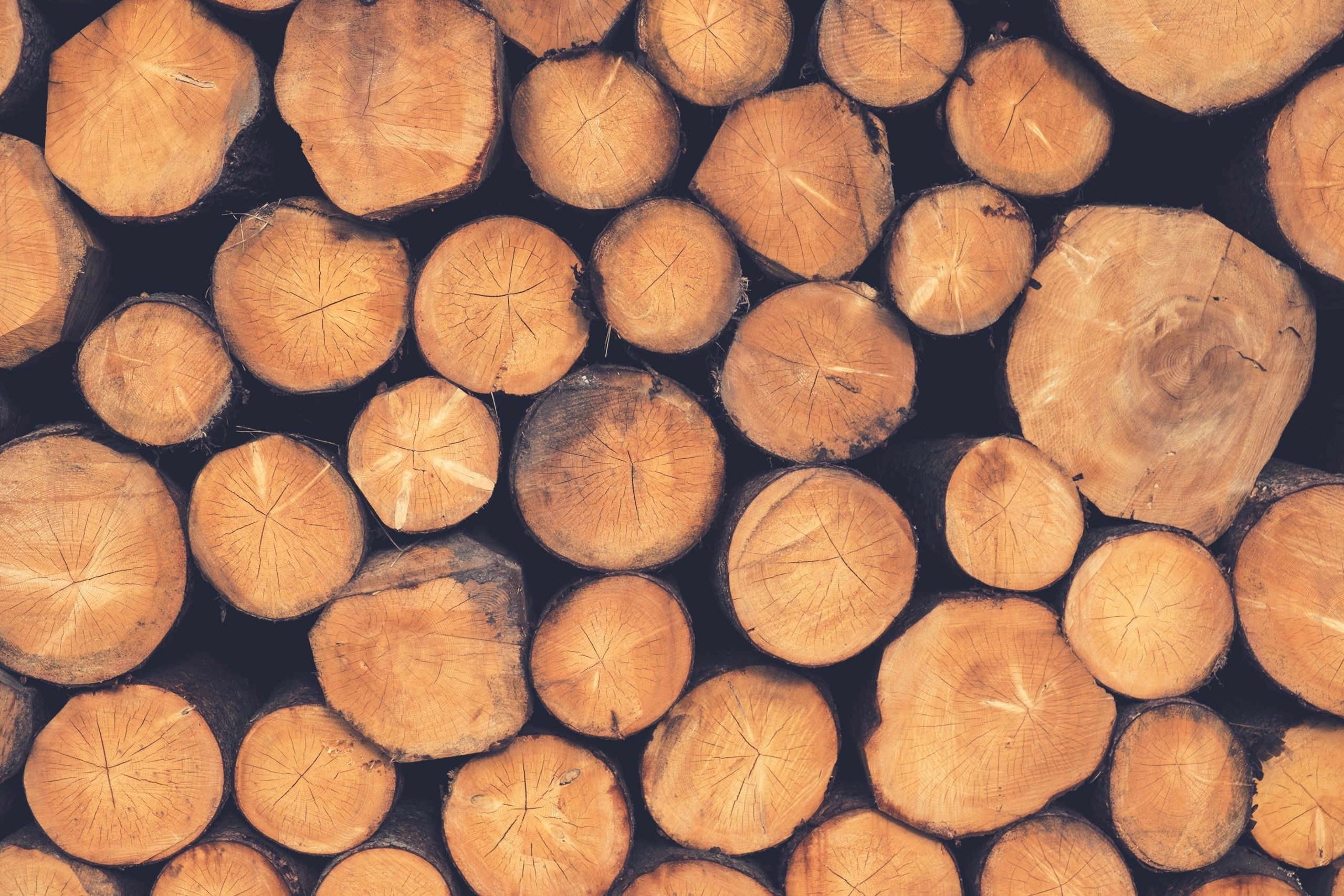 Lumberjack wallpapers, Posted by Zoey Simpson, 2560x1710 HD Desktop