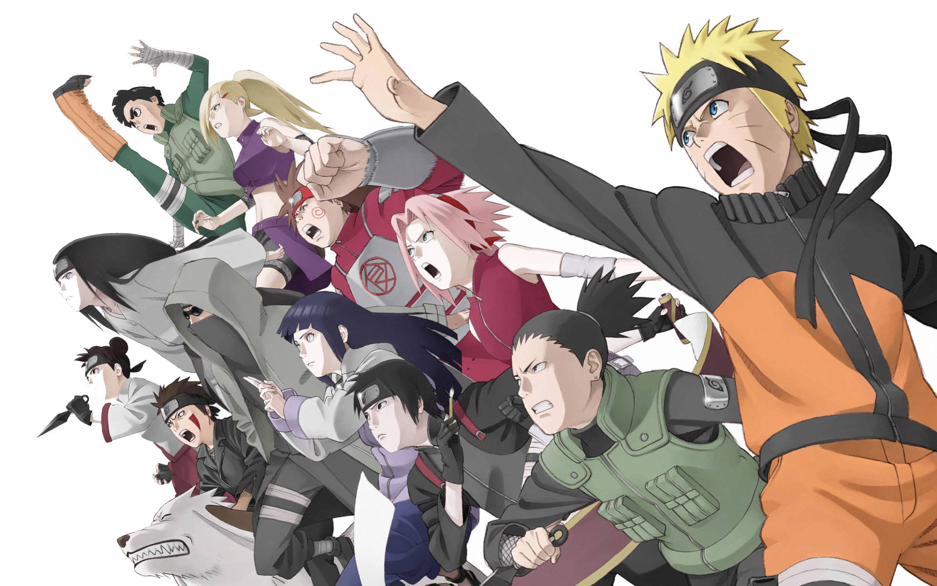 Naruto Uzumaki, Sakura Haruno, Shikamaru Nara, Hinata Hyuga, Konoha 11 shinobi, HD Desktop wallpaper