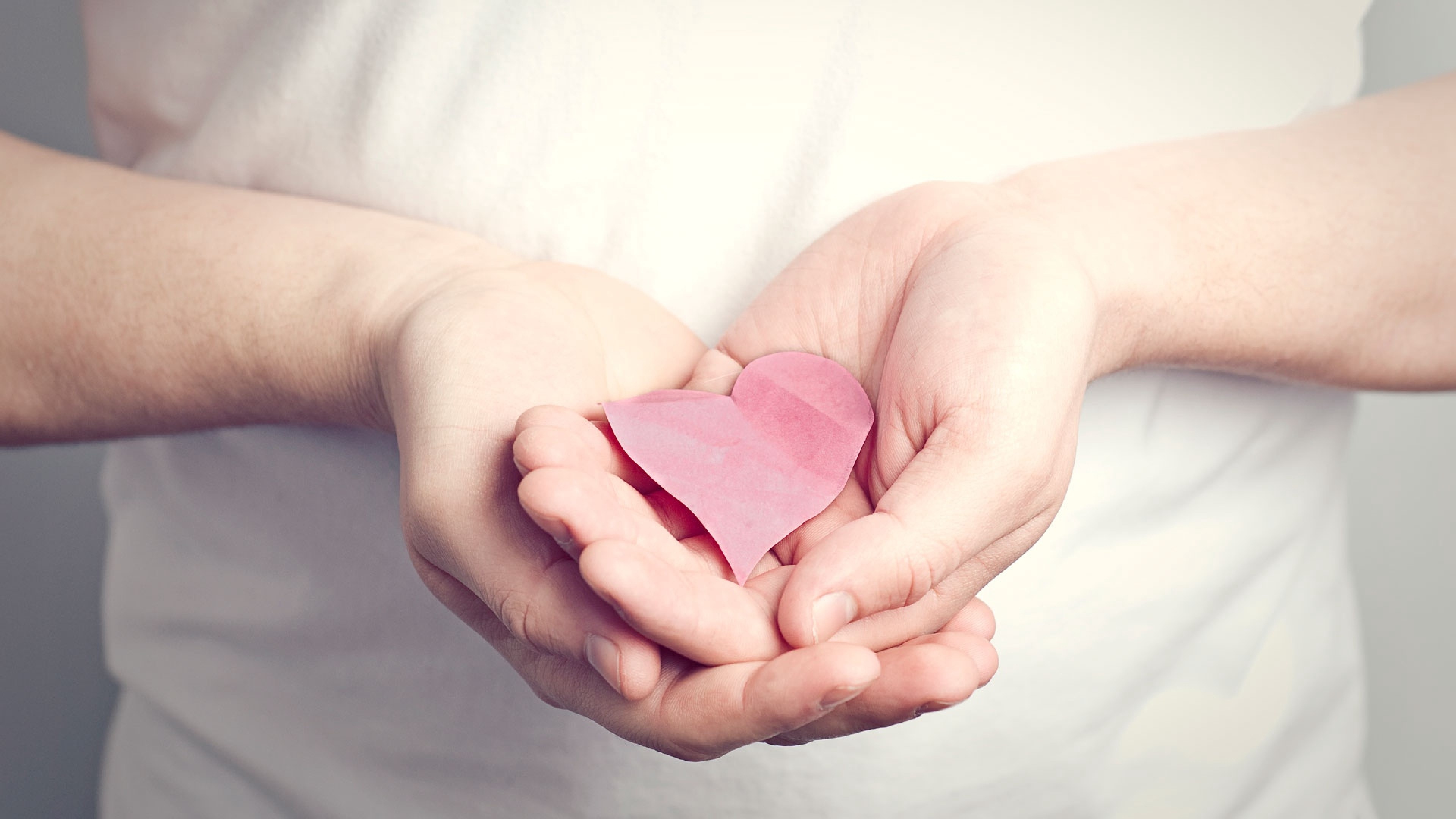 pink paper heart, cupped human hands, white t-shirt, 4K Desktop wallpaper