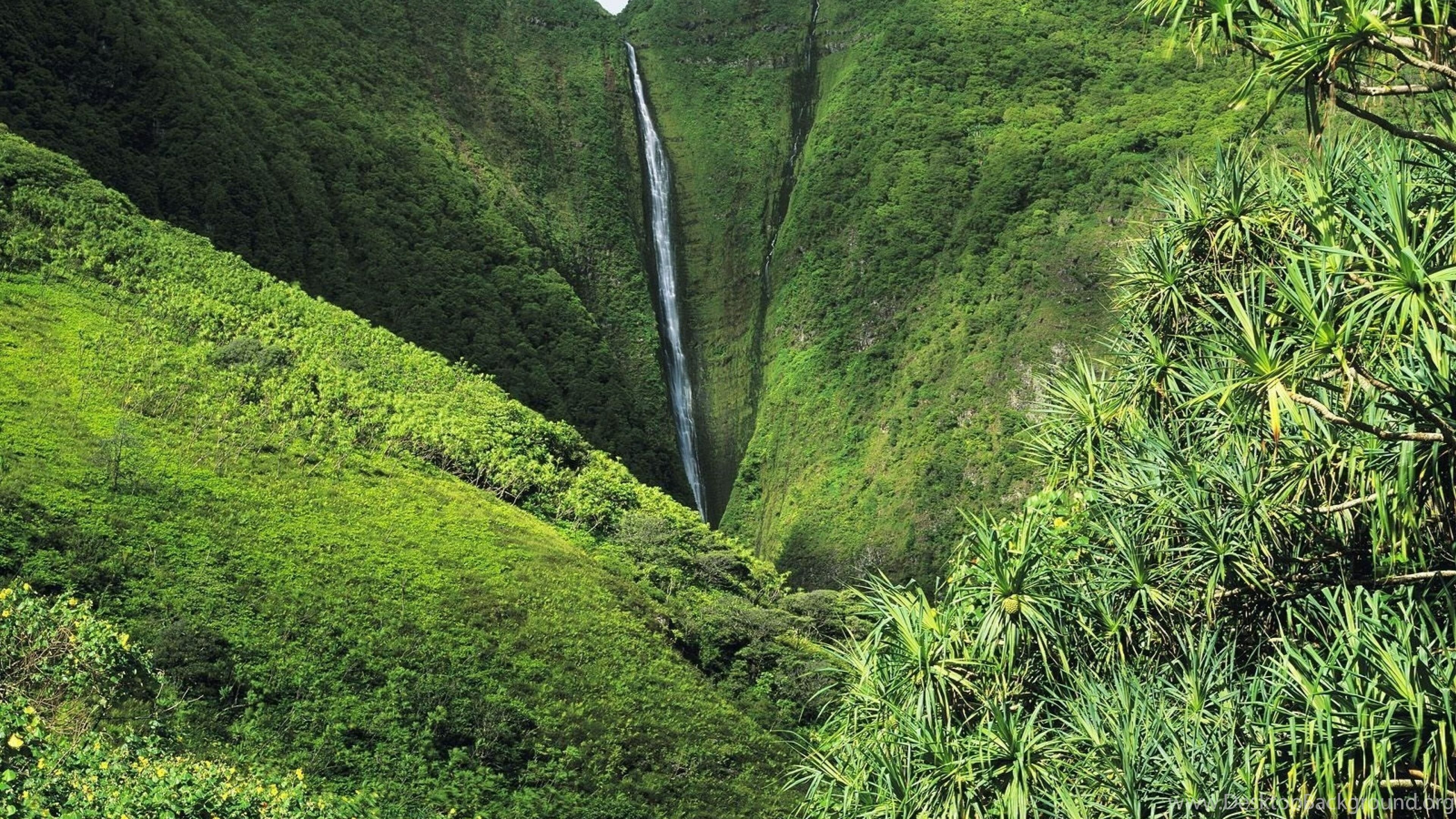 Oloupena Falls, Jungles Wallpaper, 3840x2160 4K Desktop