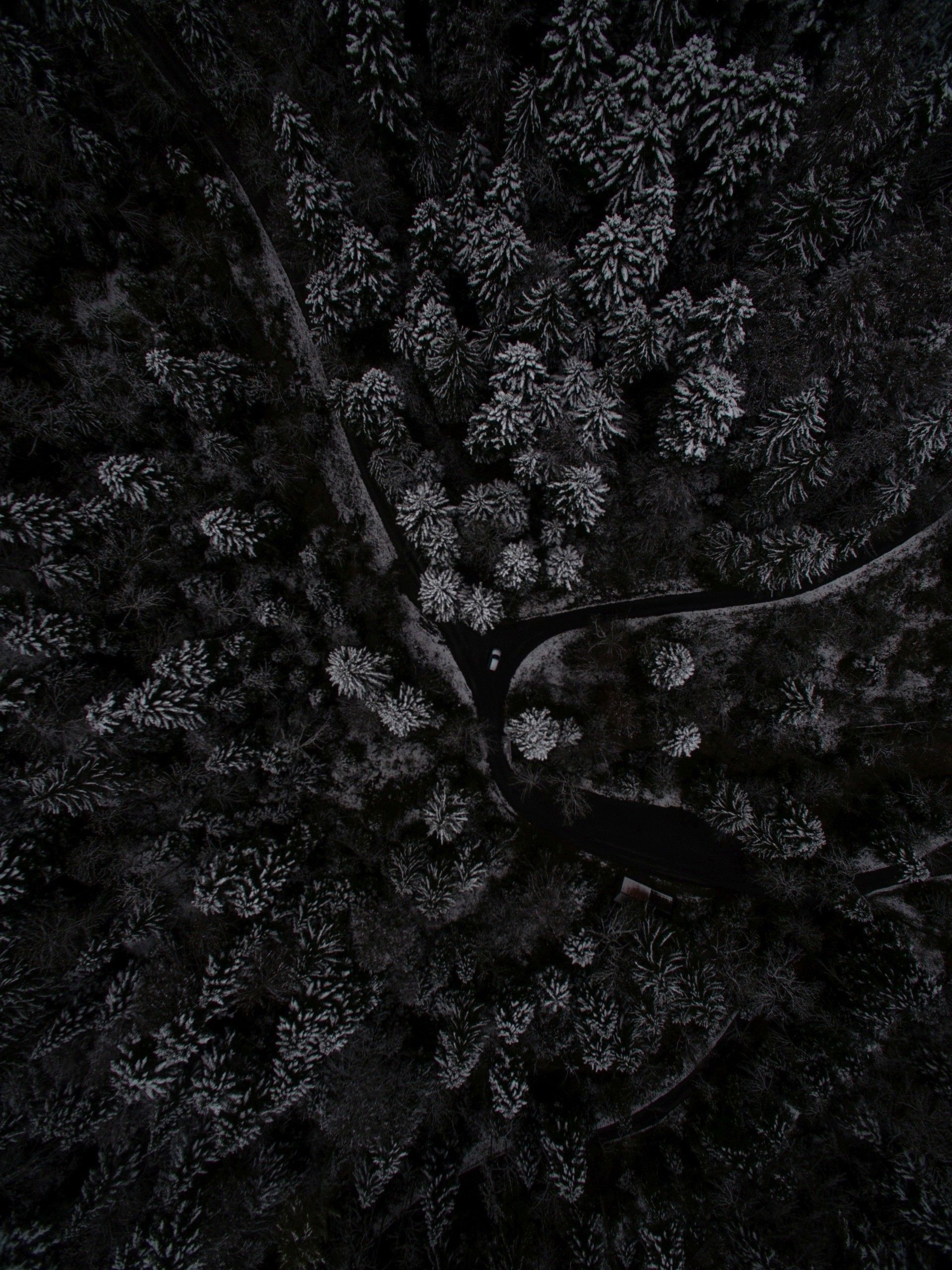 Forest from above, Dark Wallpaper, 1920x2570 HD Phone