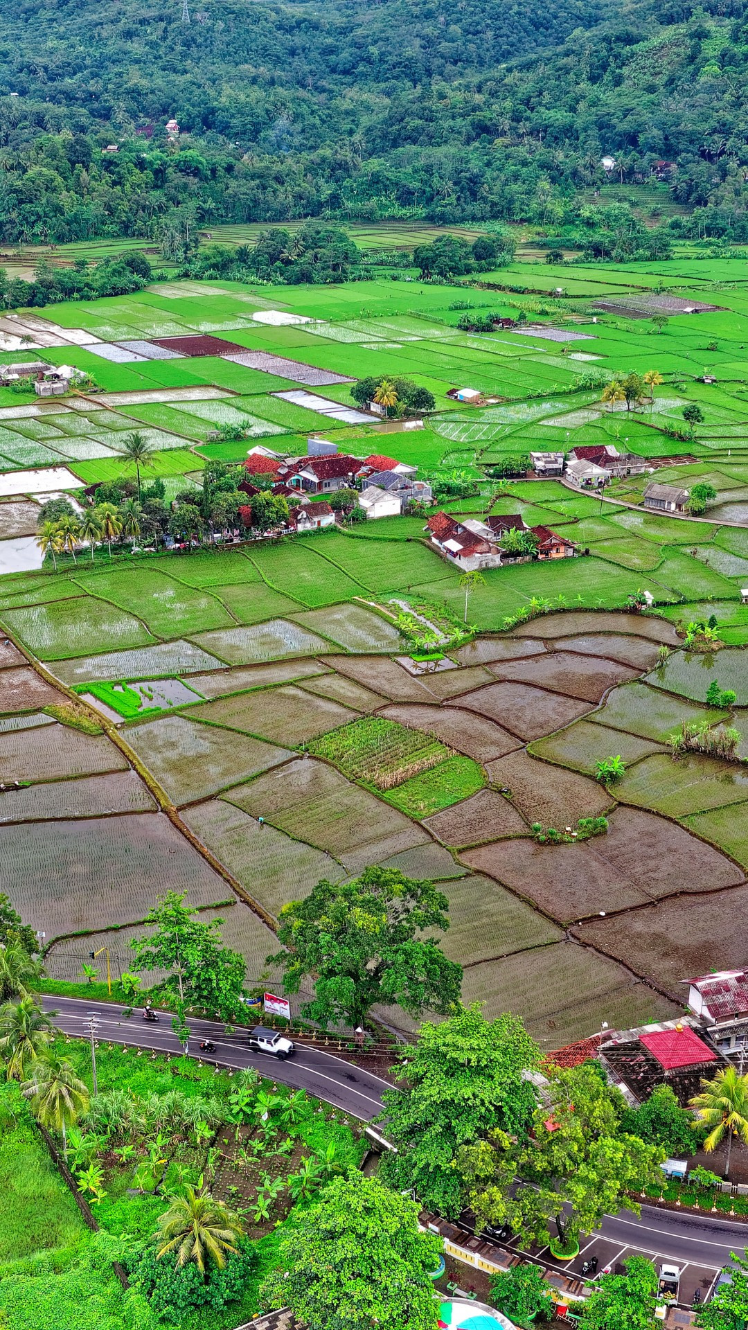 Indonesian countryside, Farmhouse beauty, Green agriculture, Peaceful wallpapers, 1080x1920 Full HD Phone