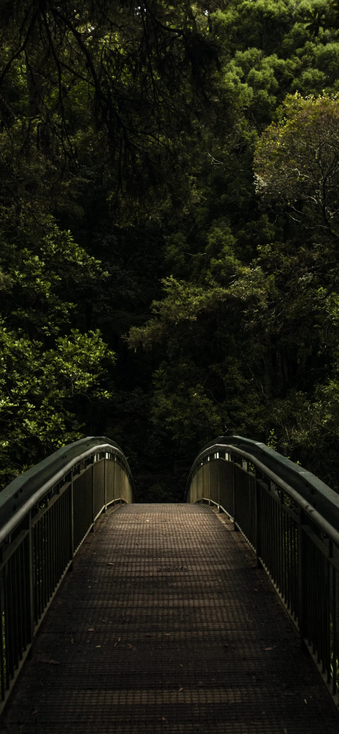 Travels, Bridge, iPhone 11 Pro Max, Free Download, 1190x2560 HD Phone