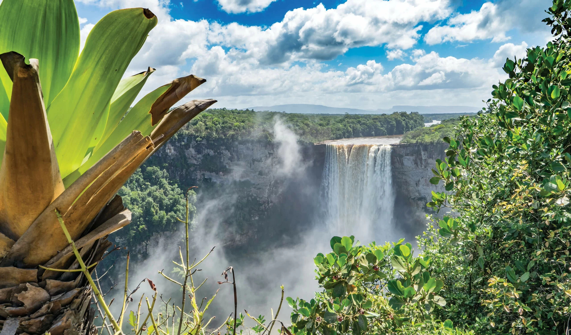 Ideal time to visit, French Guiana connection, Suriname exploration, Caribbean adventure, 1920x1130 HD Desktop