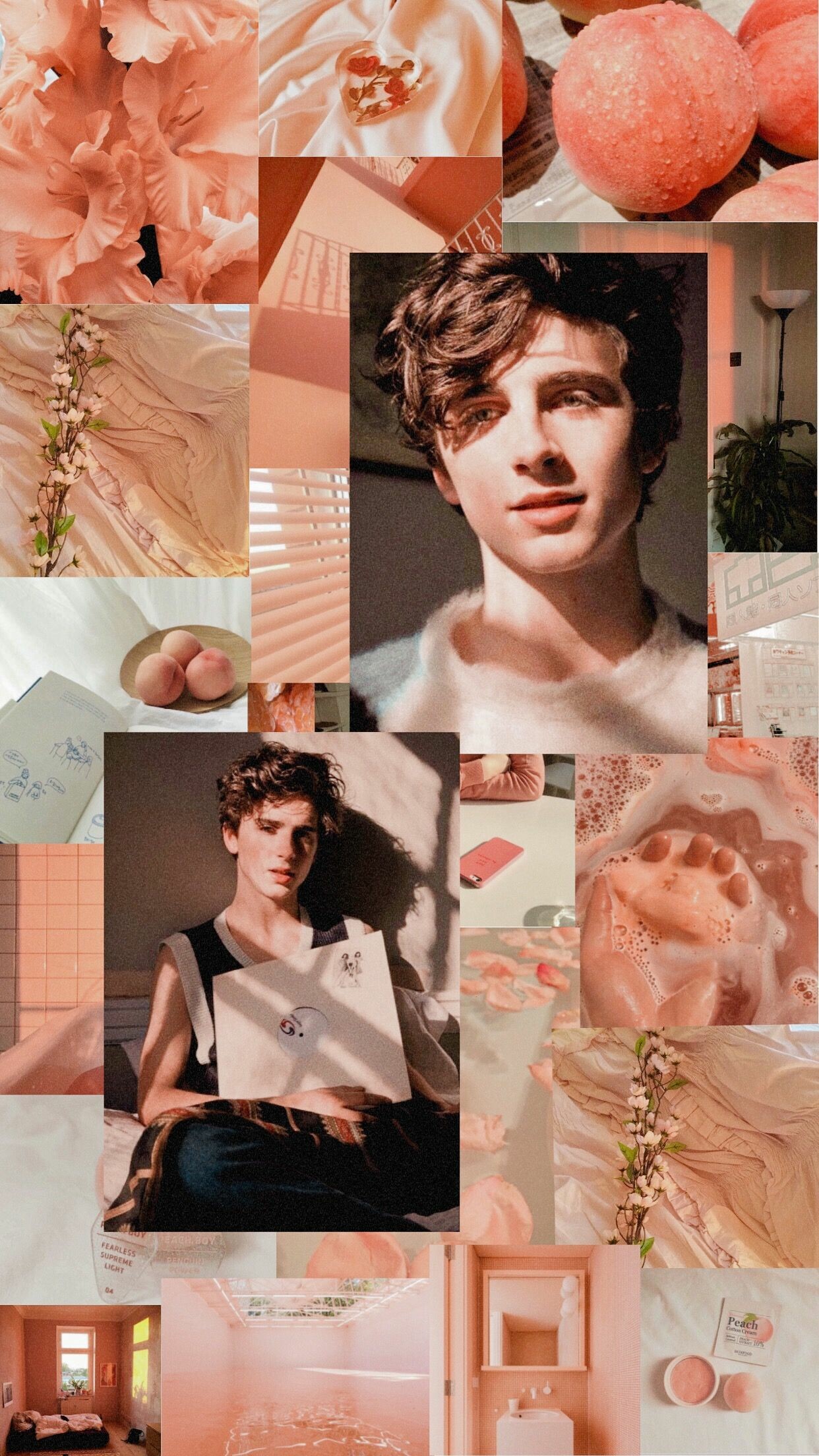 Timothee Chalamet, Rising star, Aesthetic appeal, Talented actor, 1250x2210 HD Phone