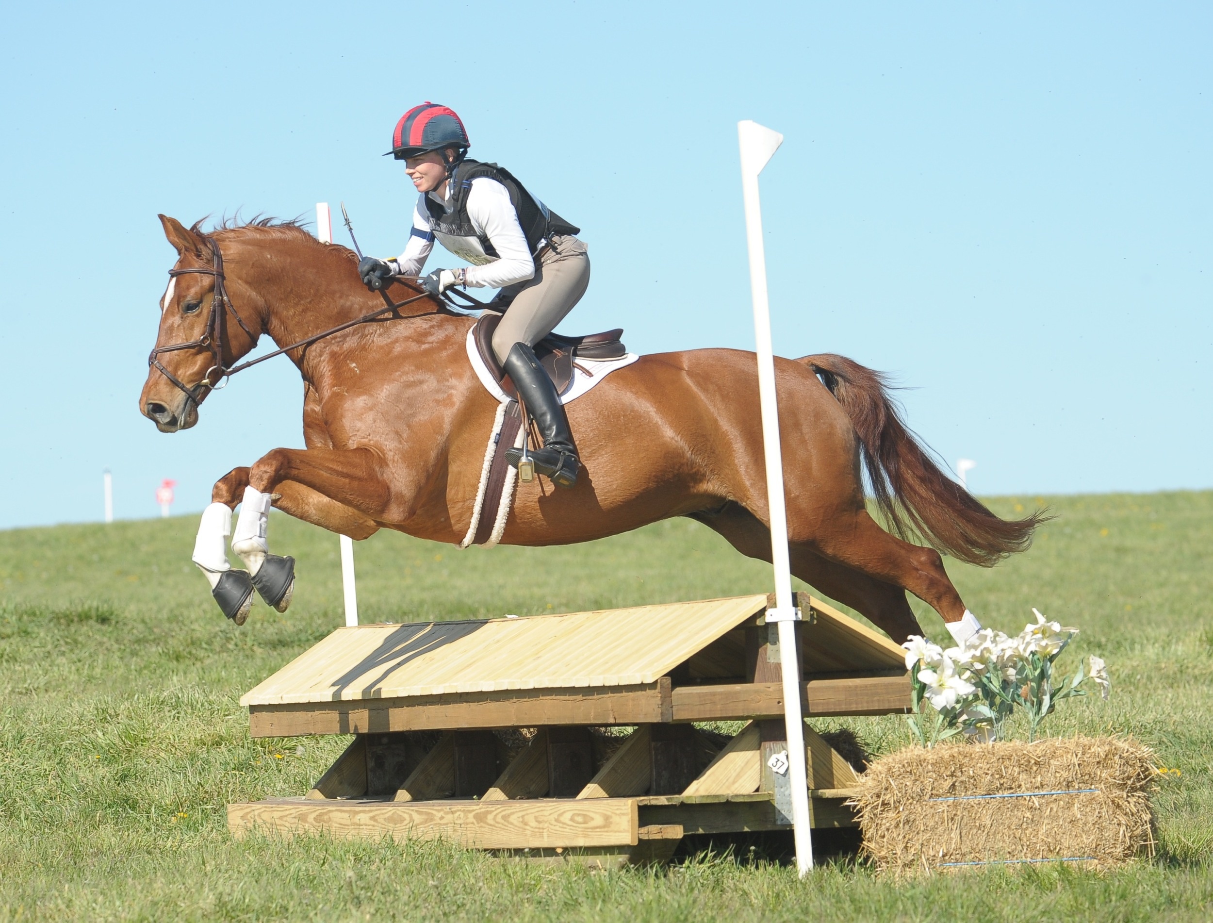 Beaujolais 75, Emily Donaldson, Dressage excellence, Elegant partnership, 2500x1910 HD Desktop