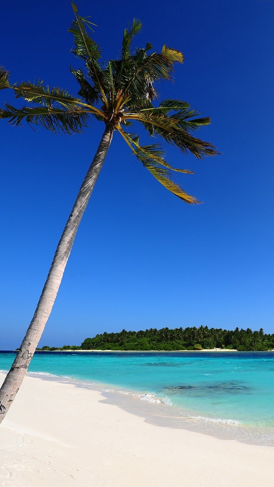 Beautiful nature beach, Idyllic coastline, Nature's paradise, Sandy shores, 1080x1920 Full HD Phone