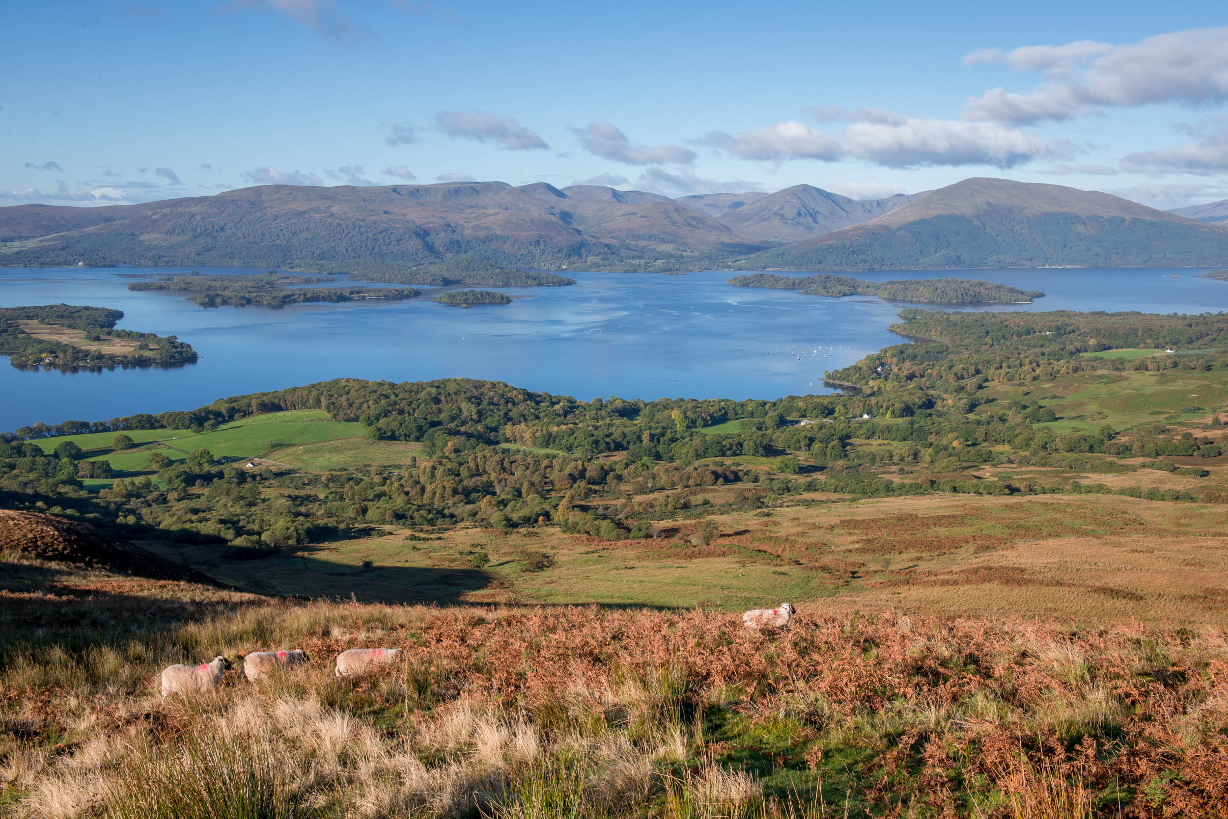 Loch Lomond, Balmaha hiking, Scottish scenery, Outdoor adventure, 2500x1670 HD Desktop