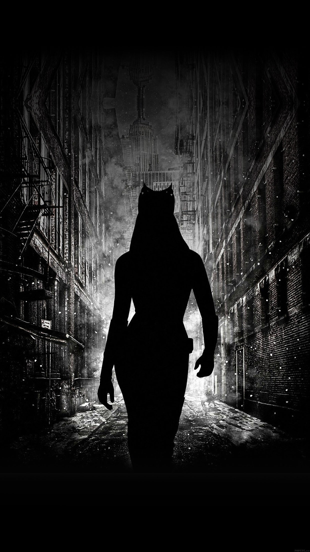 Ab23 wallpaper, Catwoman walking dark, 1250x2210 HD Phone