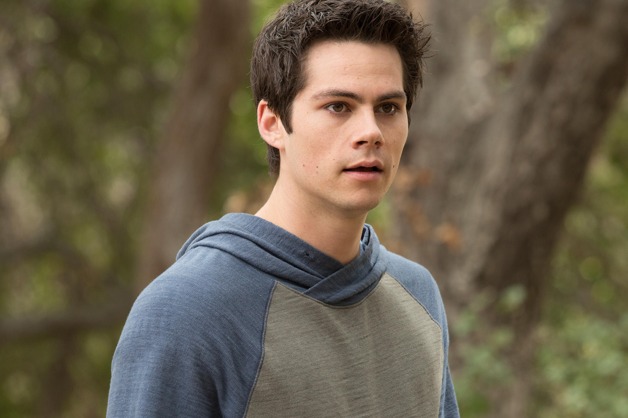 Dylan O'Brien, HD wallpaper, Stunning background, Impressive image, 2070x1380 HD Desktop