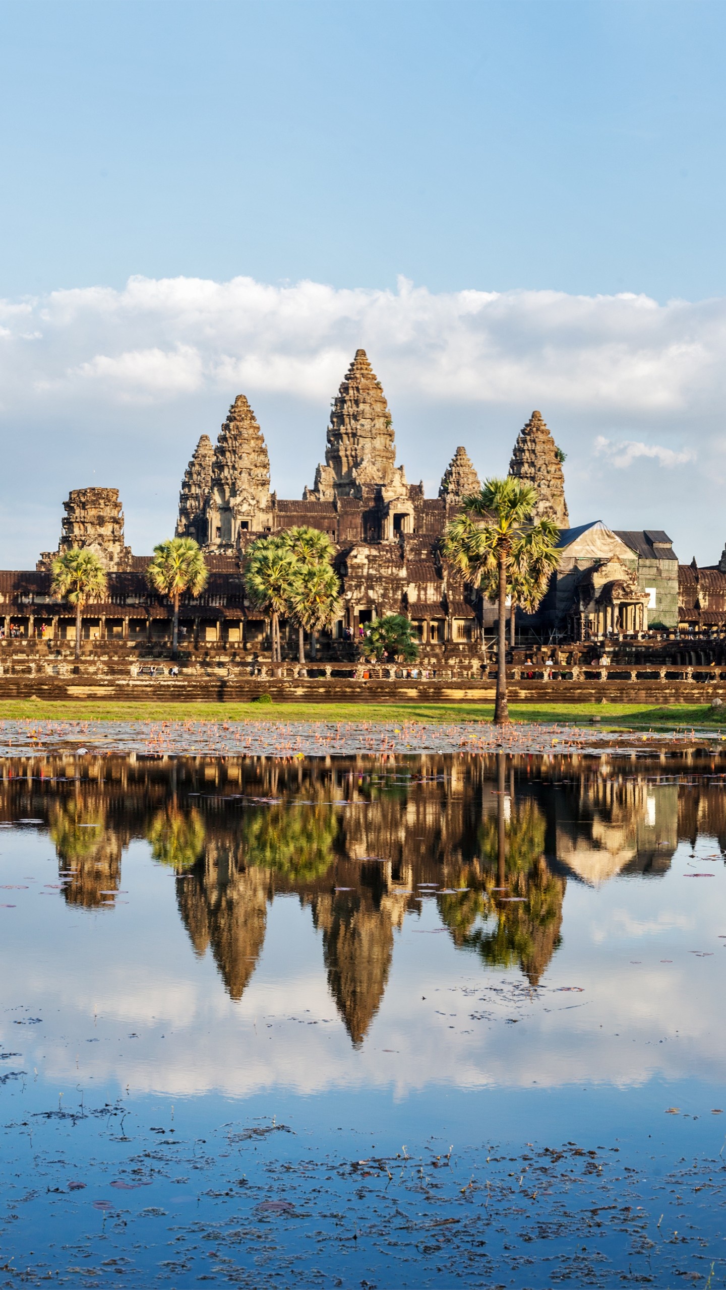 Cambodia, Architecture, Lake, Trees, 1440x2560 HD Phone