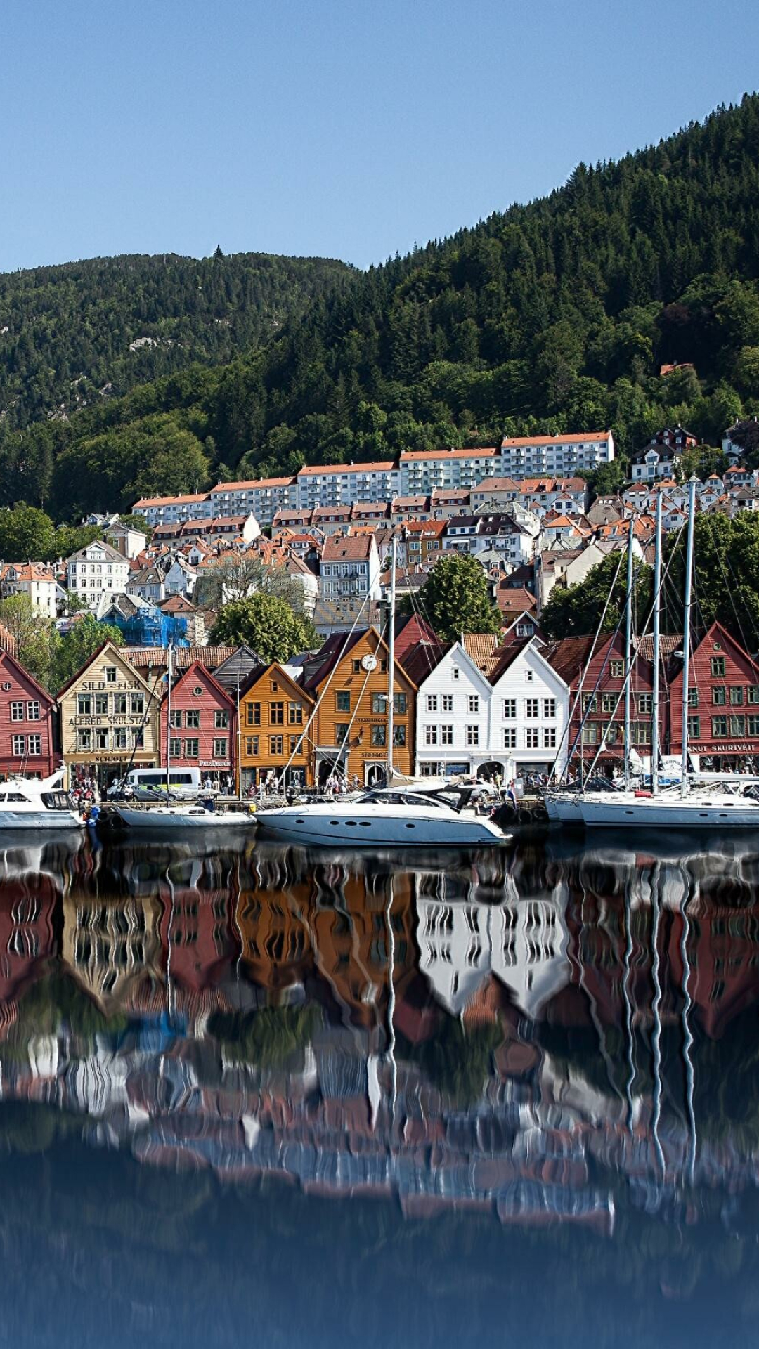 Beautiful Bergen, Norwegian city, Scenic backgrounds, Urban charm, 1080x1920 Full HD Phone