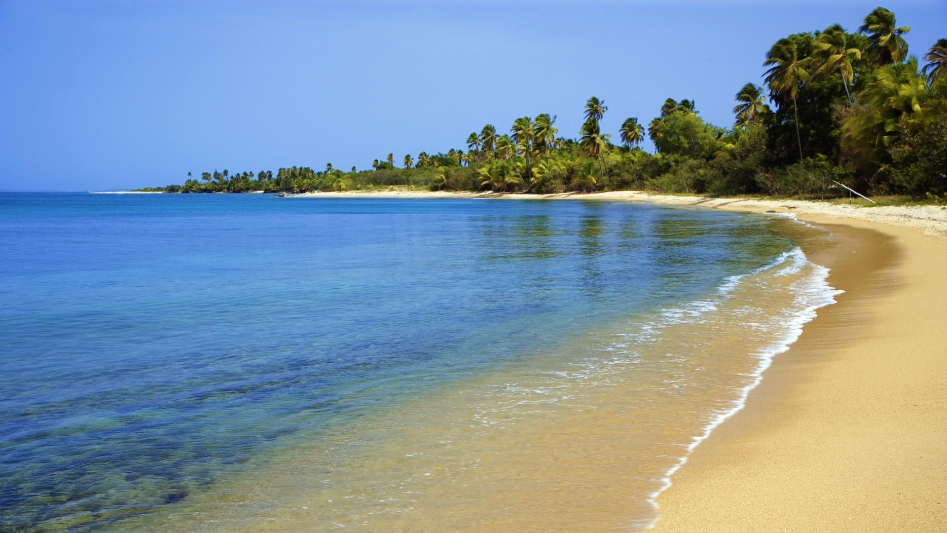 Puerto Rico, Nature beach, Vieques, Wallpapers, 1920x1080 Full HD Desktop