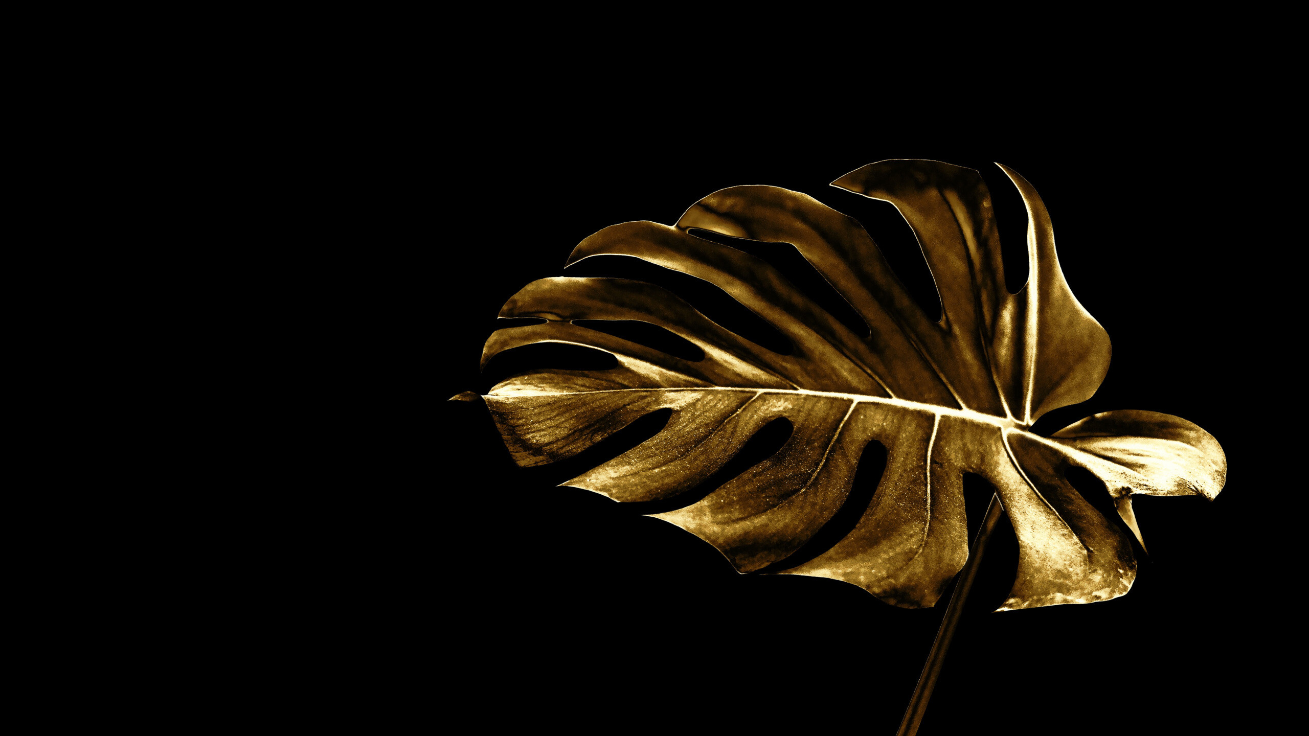 Gold Leaf wallpaper, Elegant and sophisticated, Minimalist design, Artistic representation, 2560x1440 HD Desktop