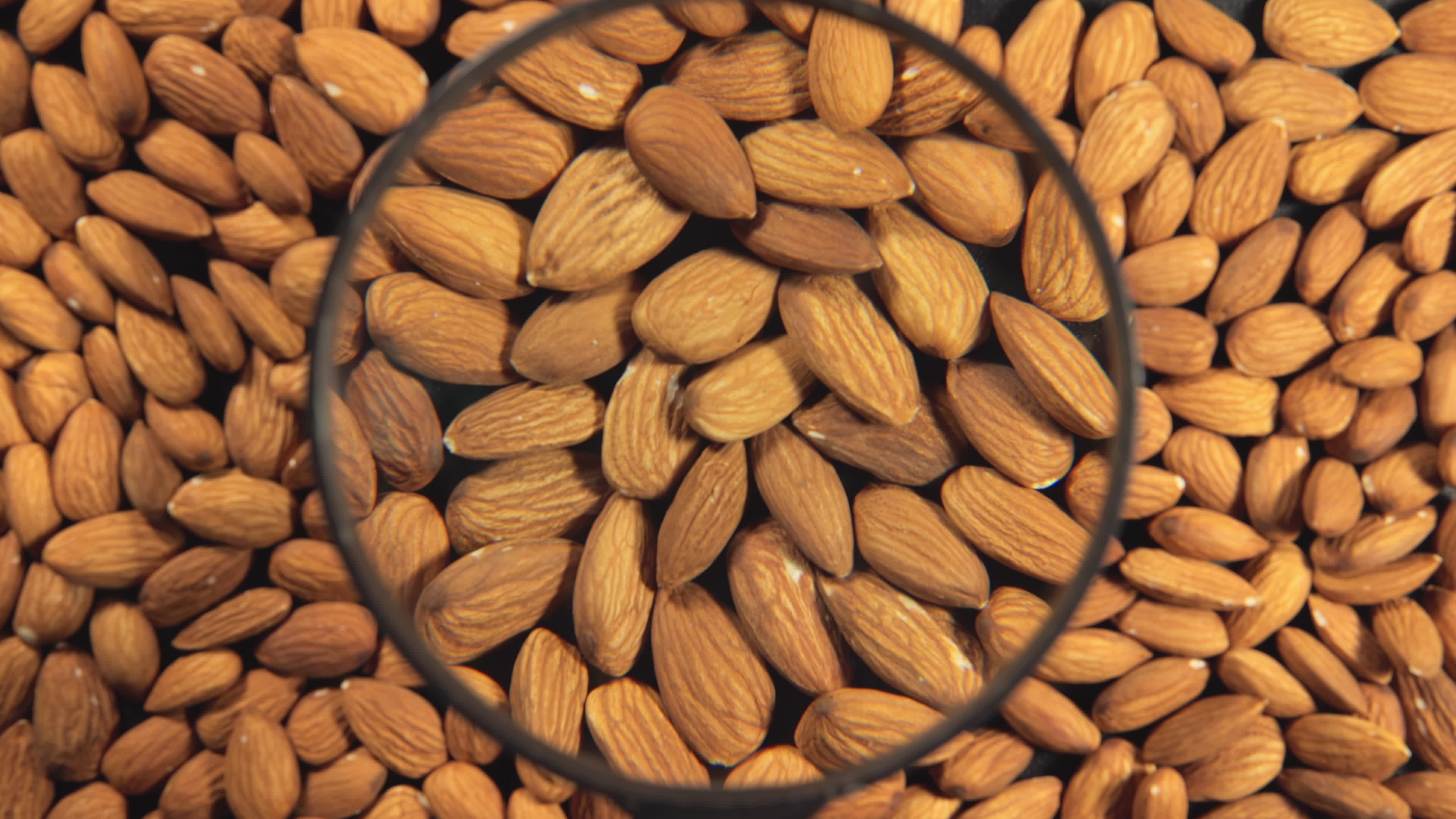 Almonds through magnifying glass, Stock video aesthetics, Captivating almond visuals, Exploring almond textures, 3840x2160 4K Desktop