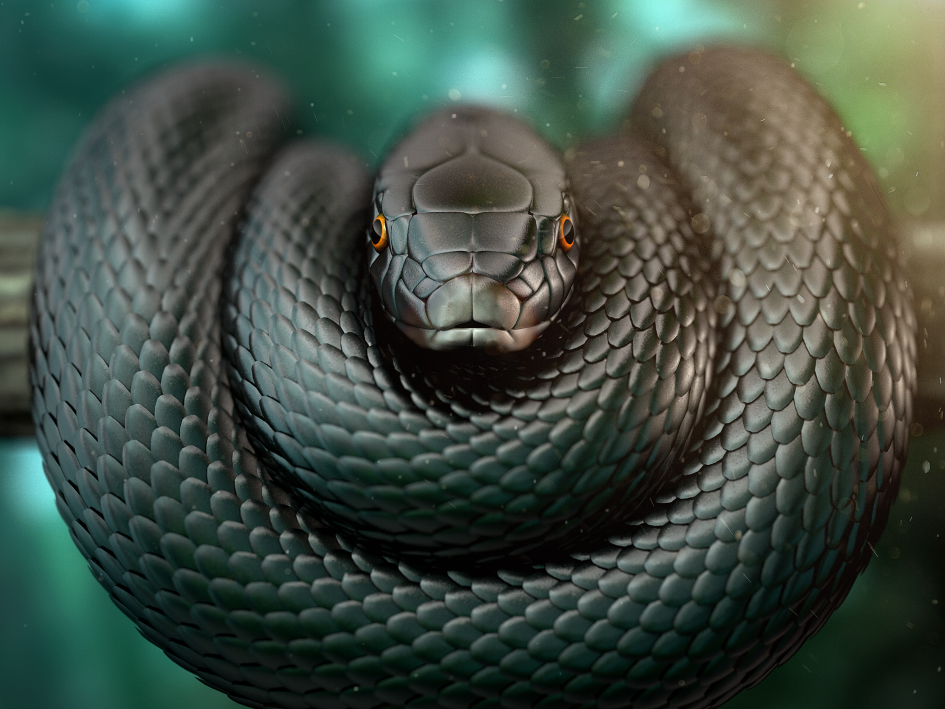 Sleek reptile, Sinister presence, Dark background, Intense gaze, 1920x1440 HD Desktop