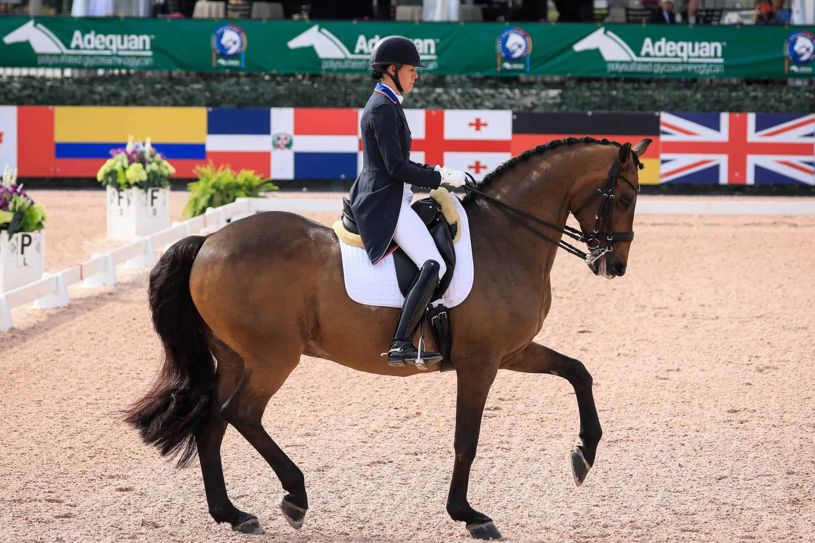 Olivia LaGoy-Weltz, Dressage Wallpaper, 2600x1740 HD Desktop